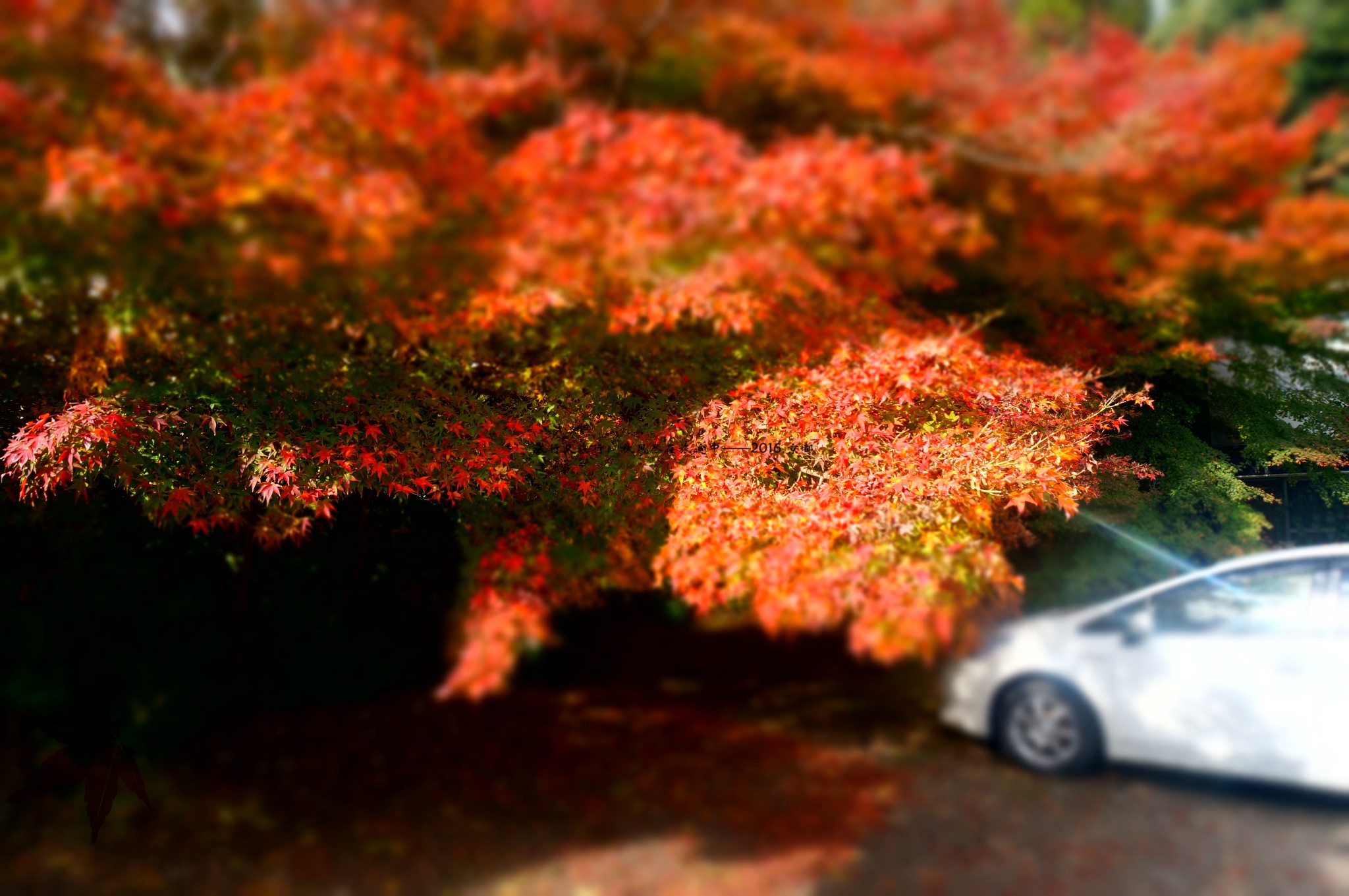 wKgBs1hrB92AEvNIAAdUsXifVc003.jpeg?imageView2%2F2%2Fw%2F600%2Fq%2F50