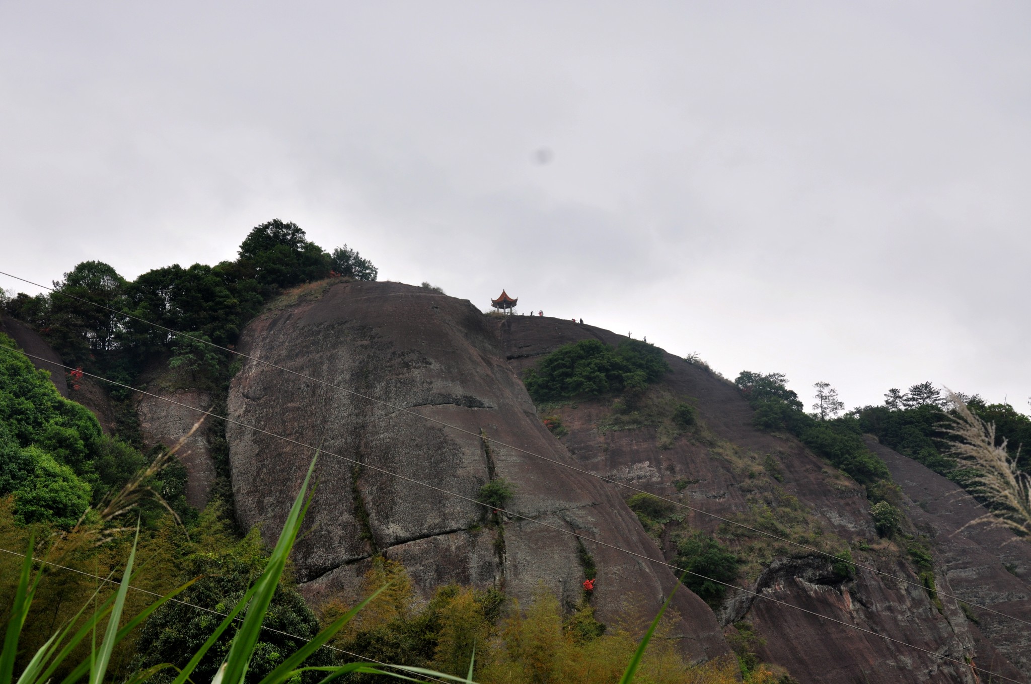 韶关南雄苍石寨满山映山红 红土地图片73,韶关旅游