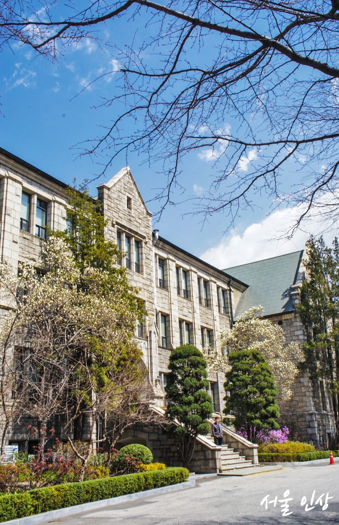 梨花女子大学        