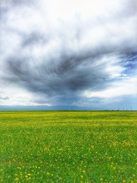 青海湖高原反应严重不?看网上说的吓人能死人