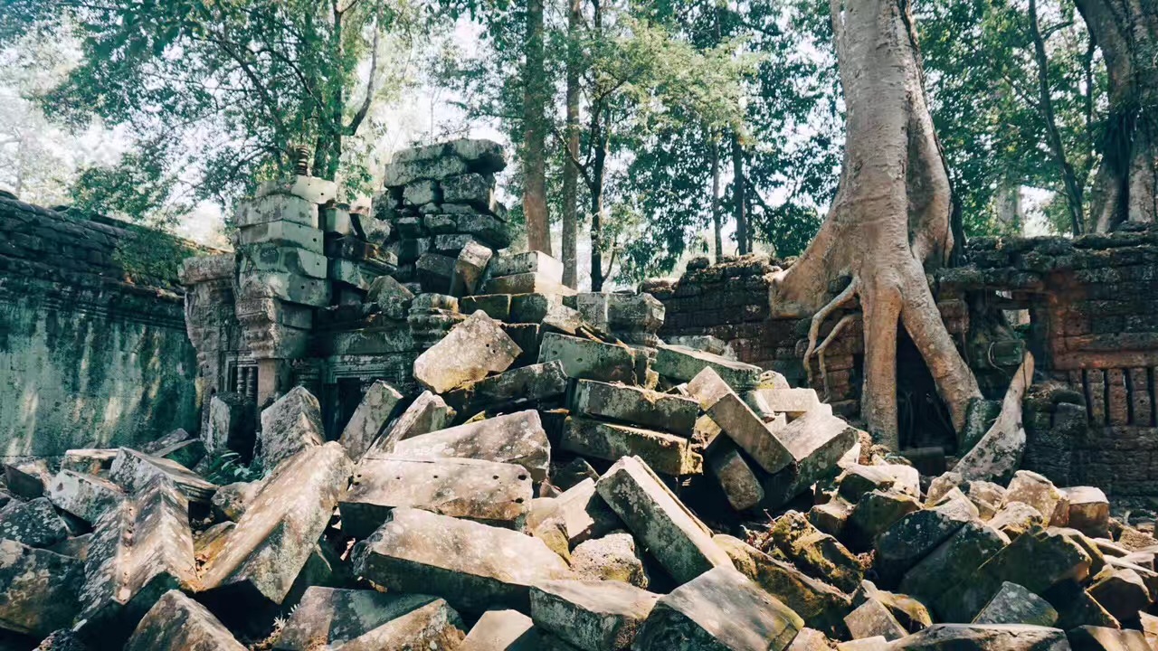 wKgBZ1j93SOAC3eqAAacTBCJ0Xk33.jpeg?imageView2%2F2%2Fw%2F530%2Fh%2F8000%2Fq%2F100