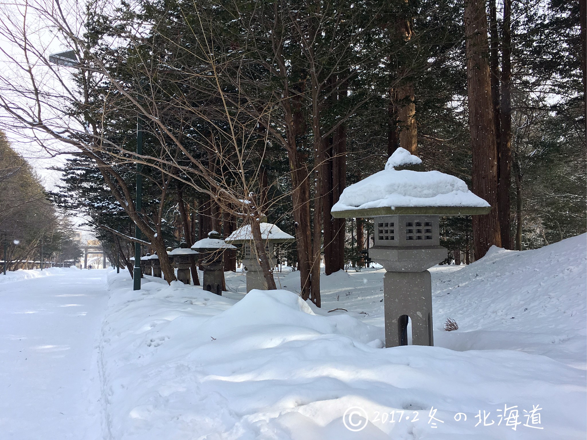 北海道自助遊攻略