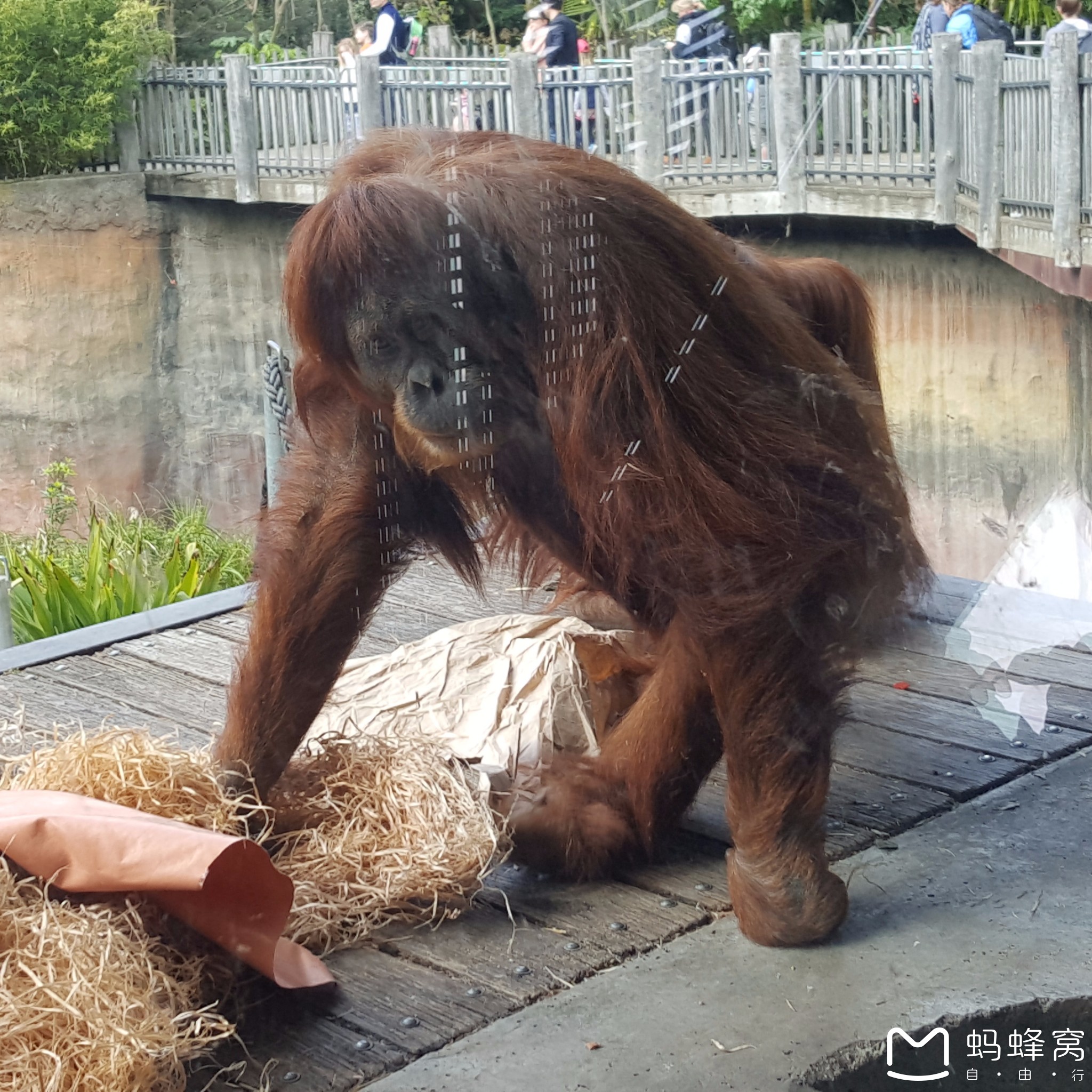 墨爾本自助遊攻略