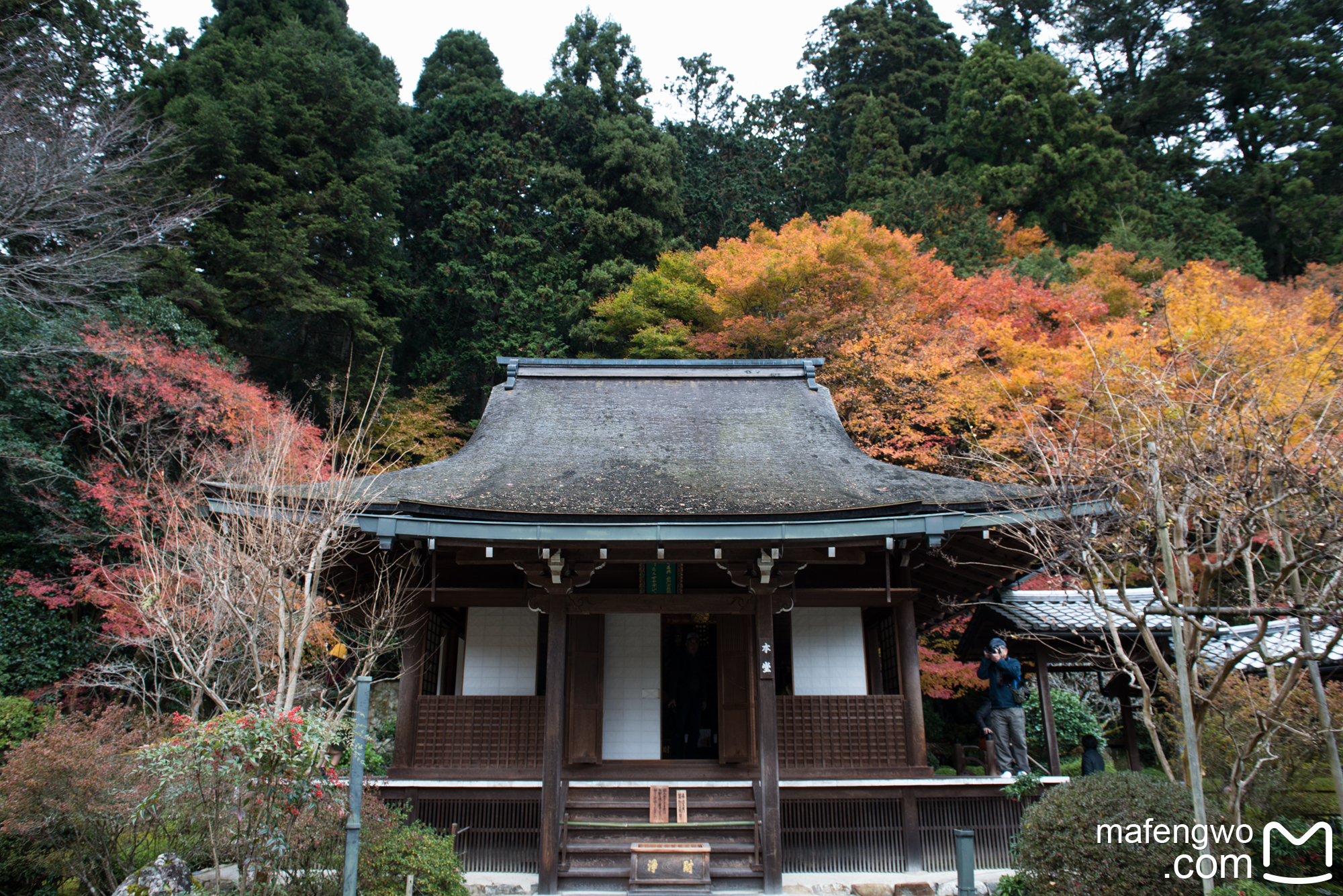 京都自助遊攻略