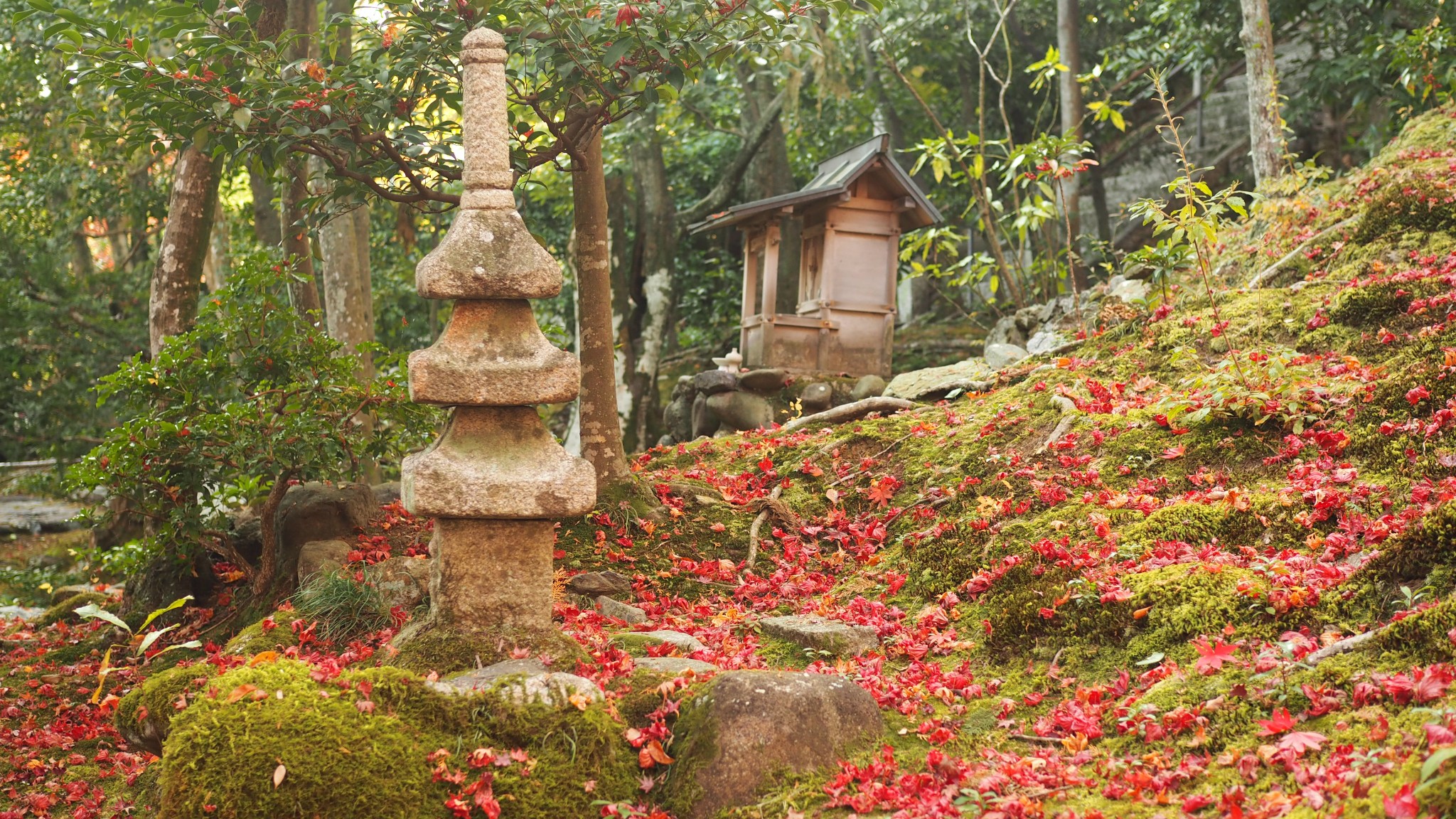 京都自助遊攻略