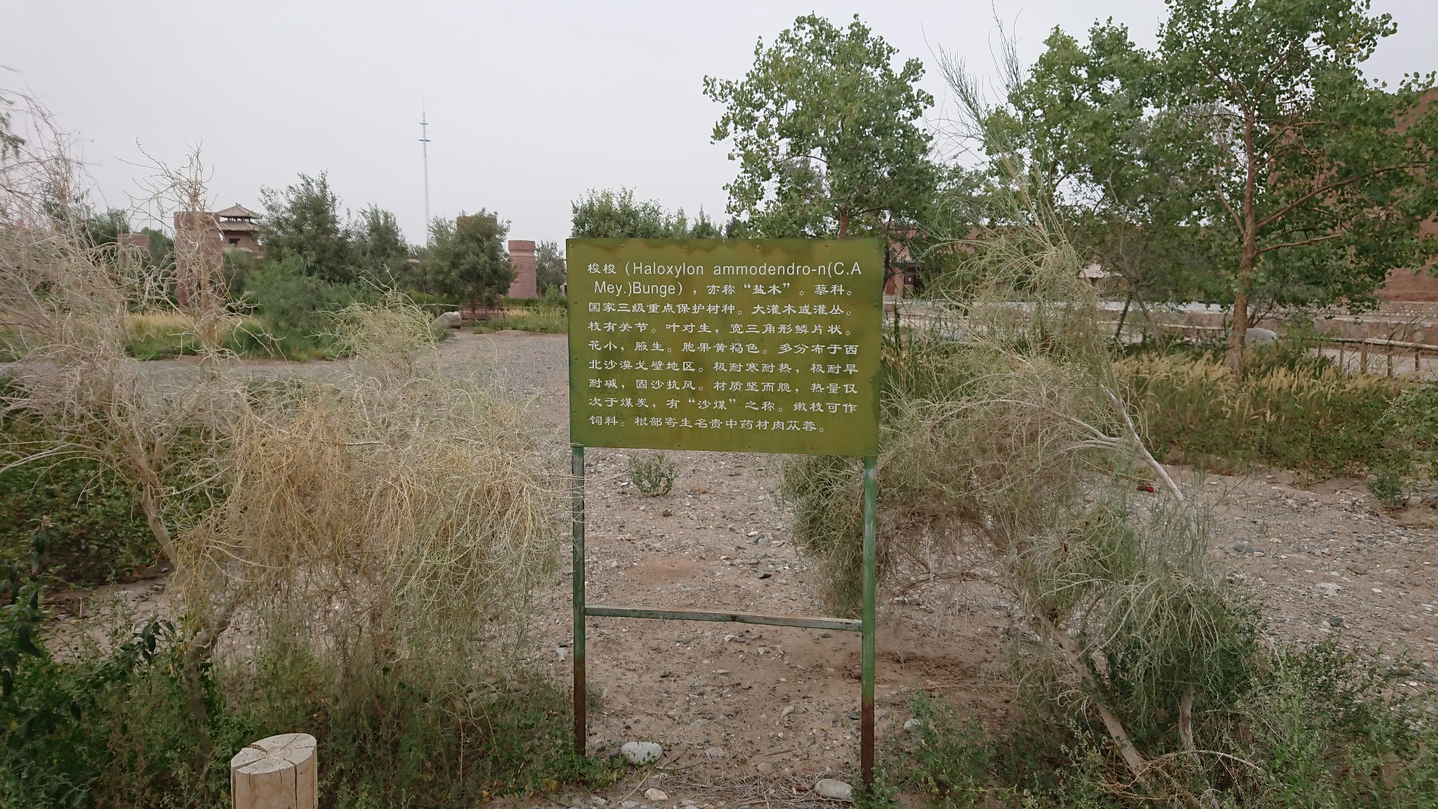 wKgBZ1m_yi6ARJ7-AA--Lm2KBUk38.jpeg?imageView2%2F2%2Fw%2F680%2Fq%2F90