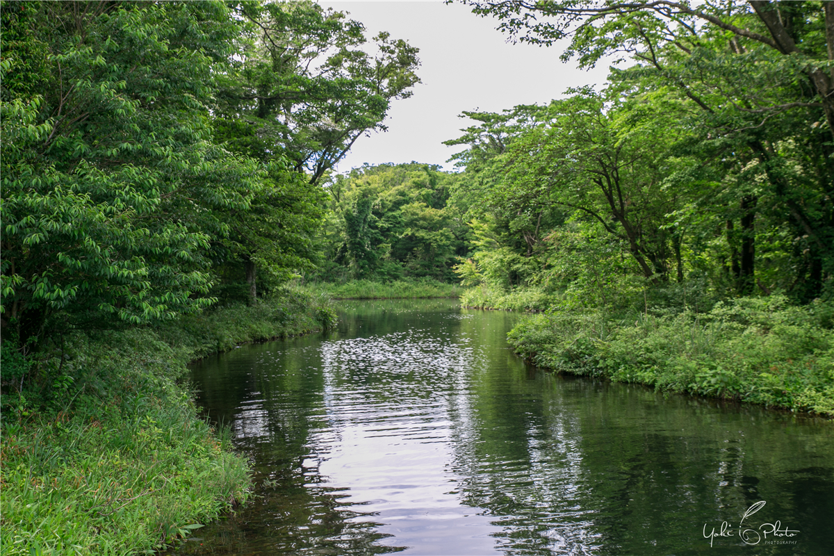 濟州島自助遊攻略