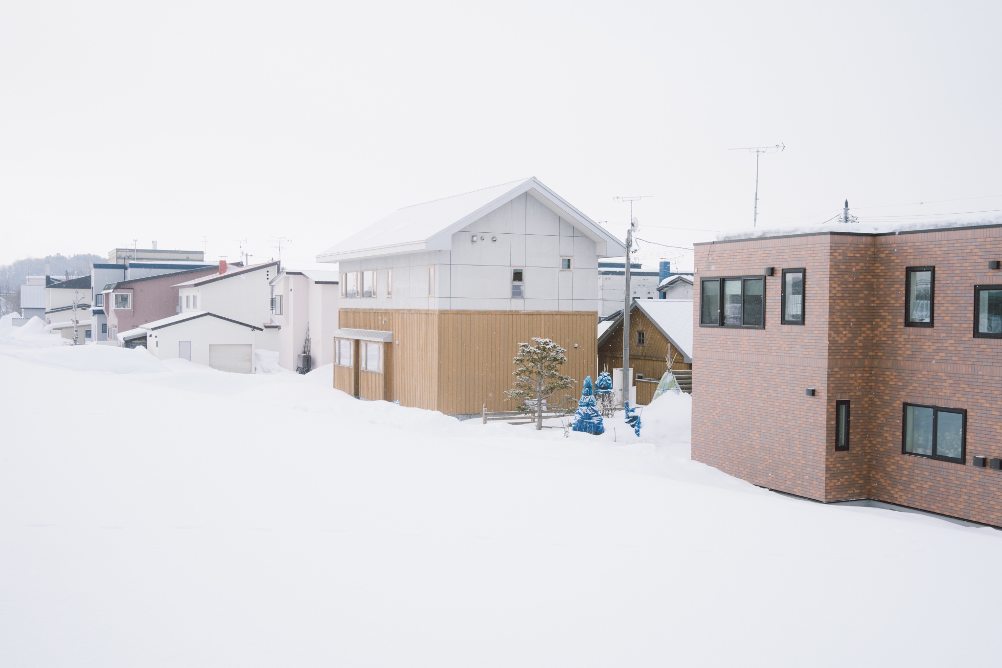 北海道自助遊攻略