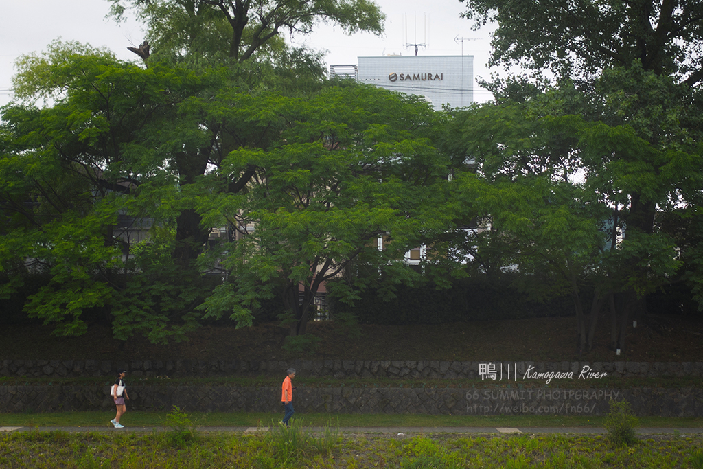 京都自助遊攻略