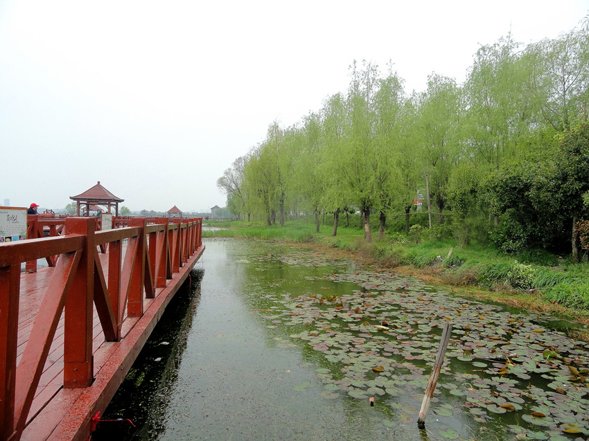 淮阳--龙湖九曲栈道