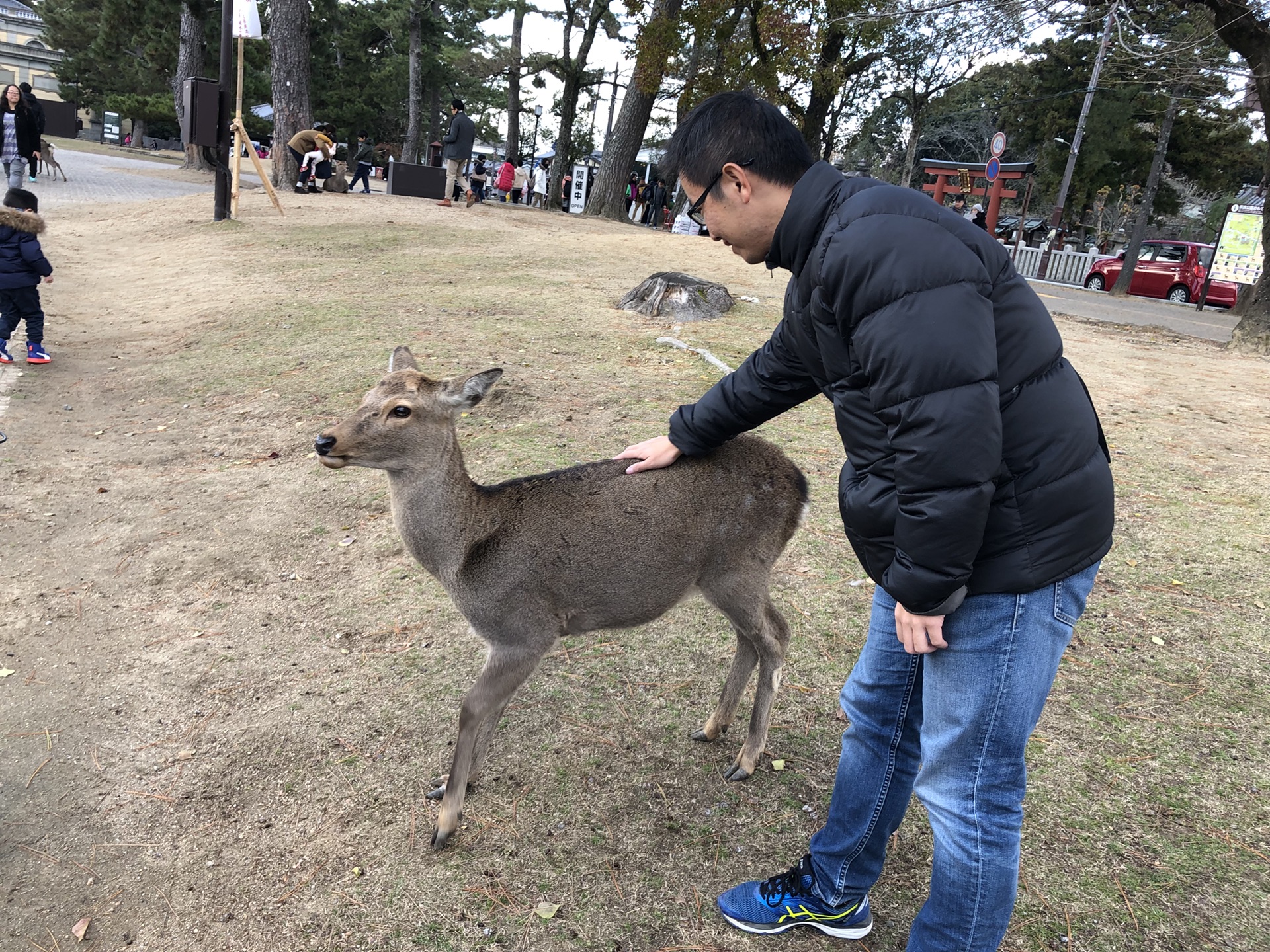 奈良自助遊攻略