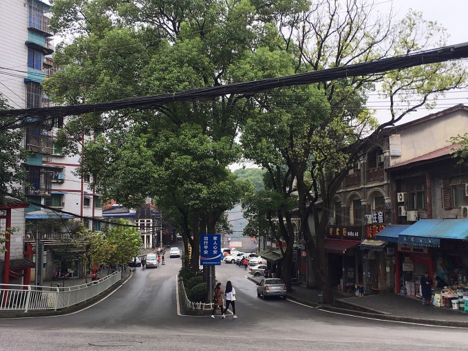 集自然人文及红色之旅为一身的歌乐山森林公园