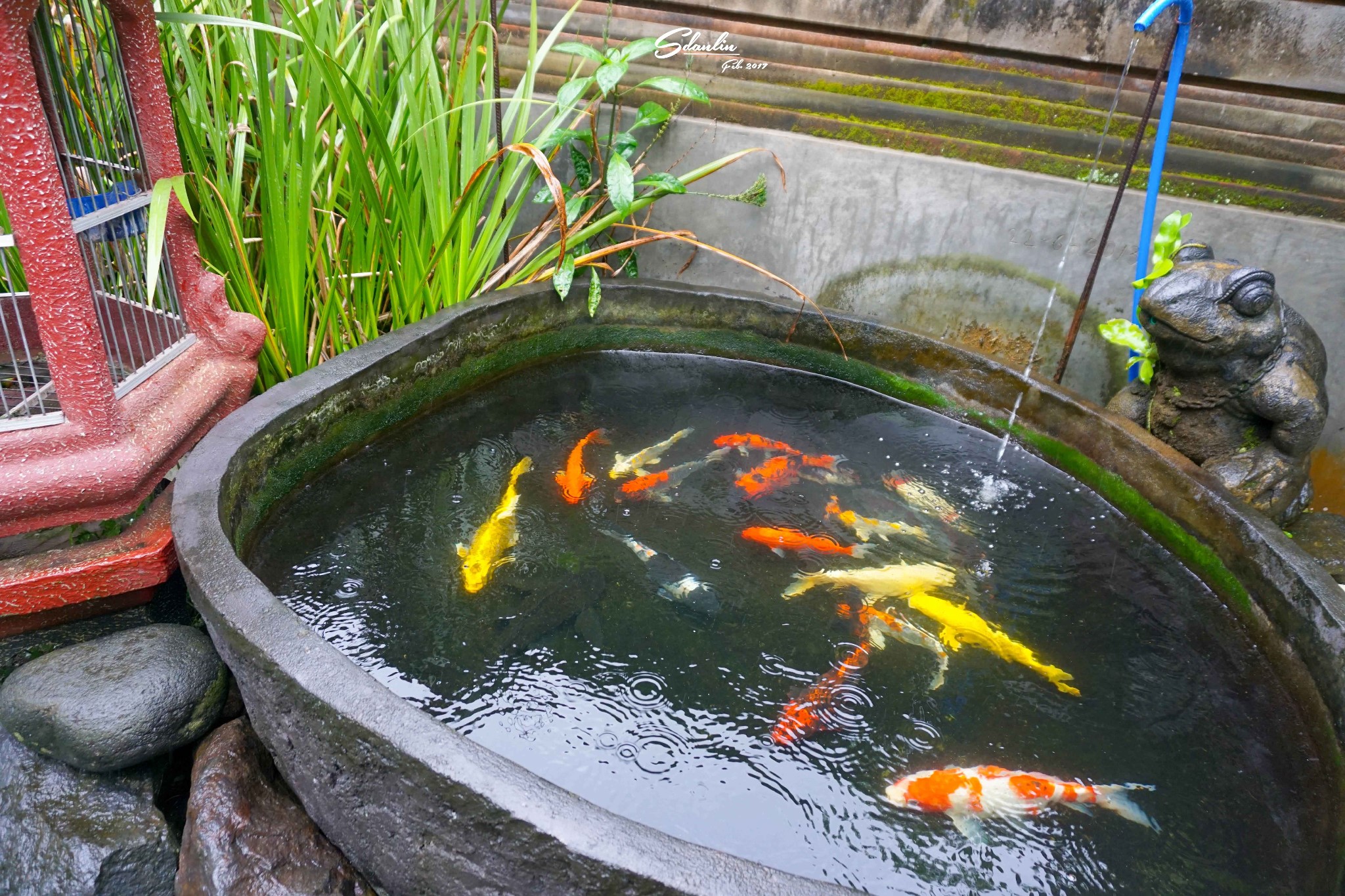 巴釐島自助遊攻略