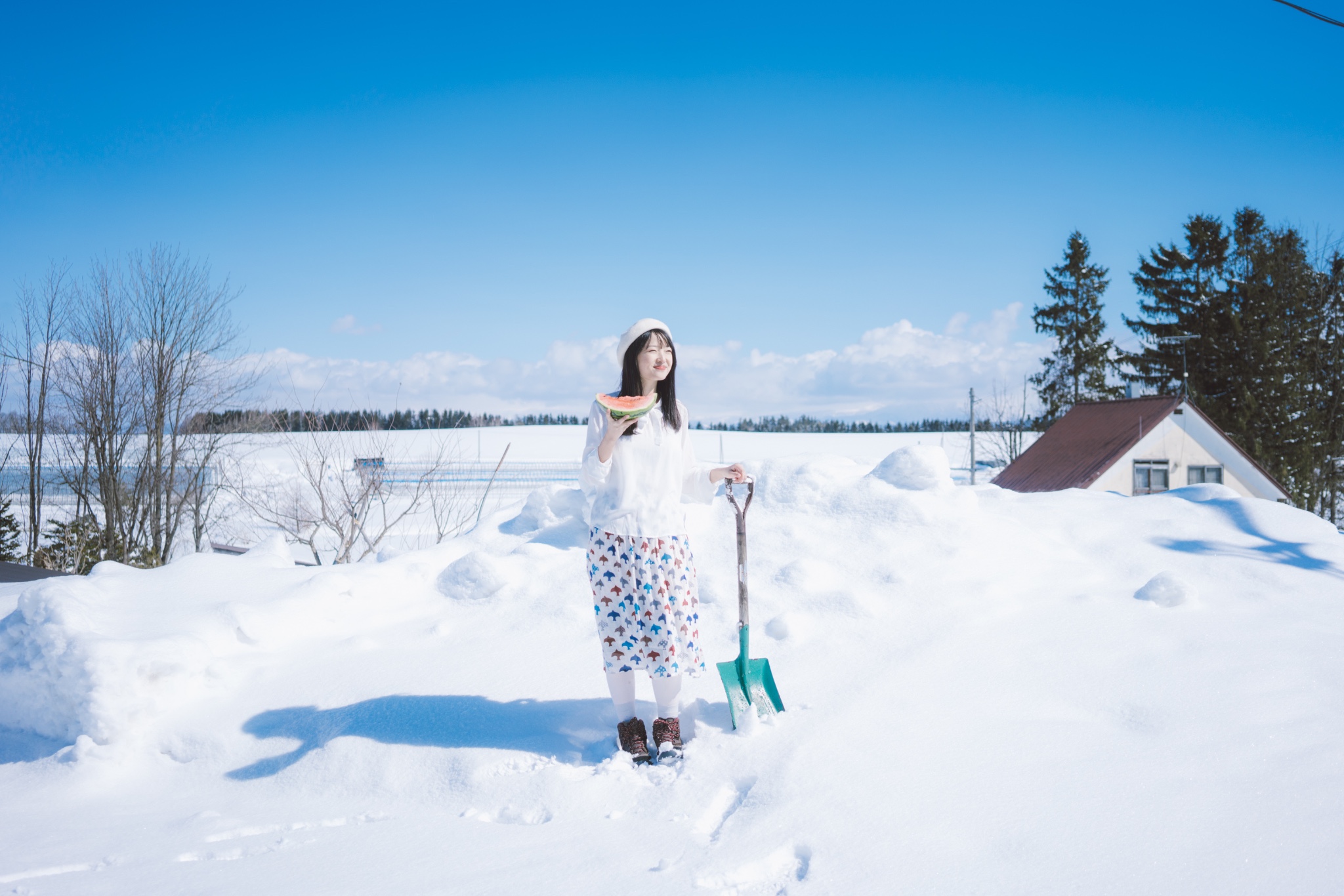 北海道自助遊攻略