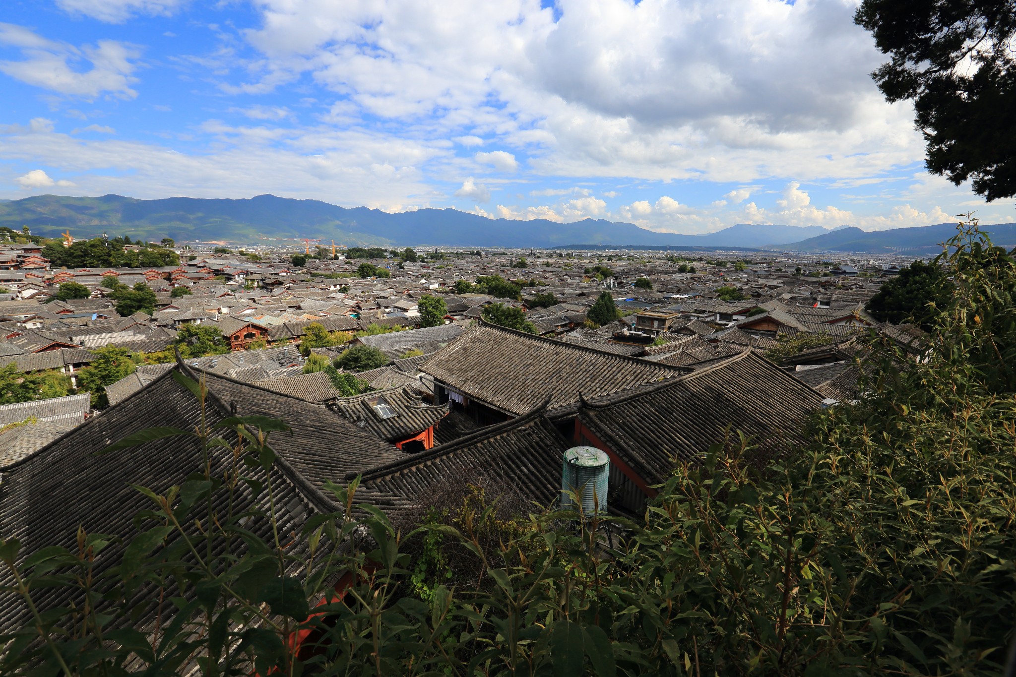 雨崩自助遊攻略