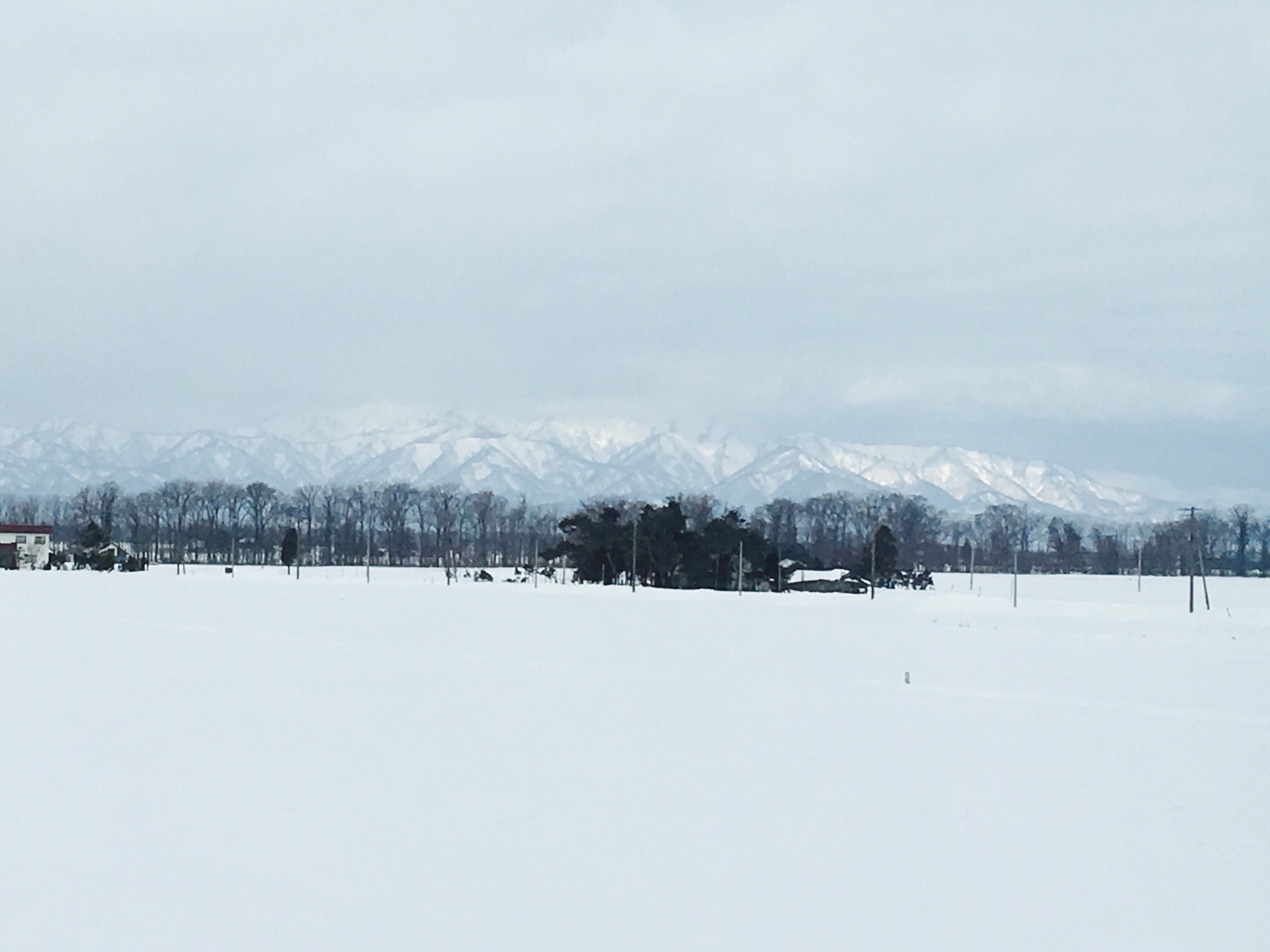 北海道自助遊攻略