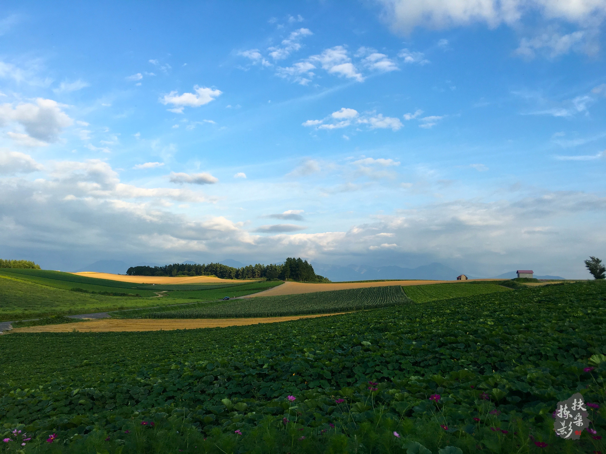 北海道自助遊攻略