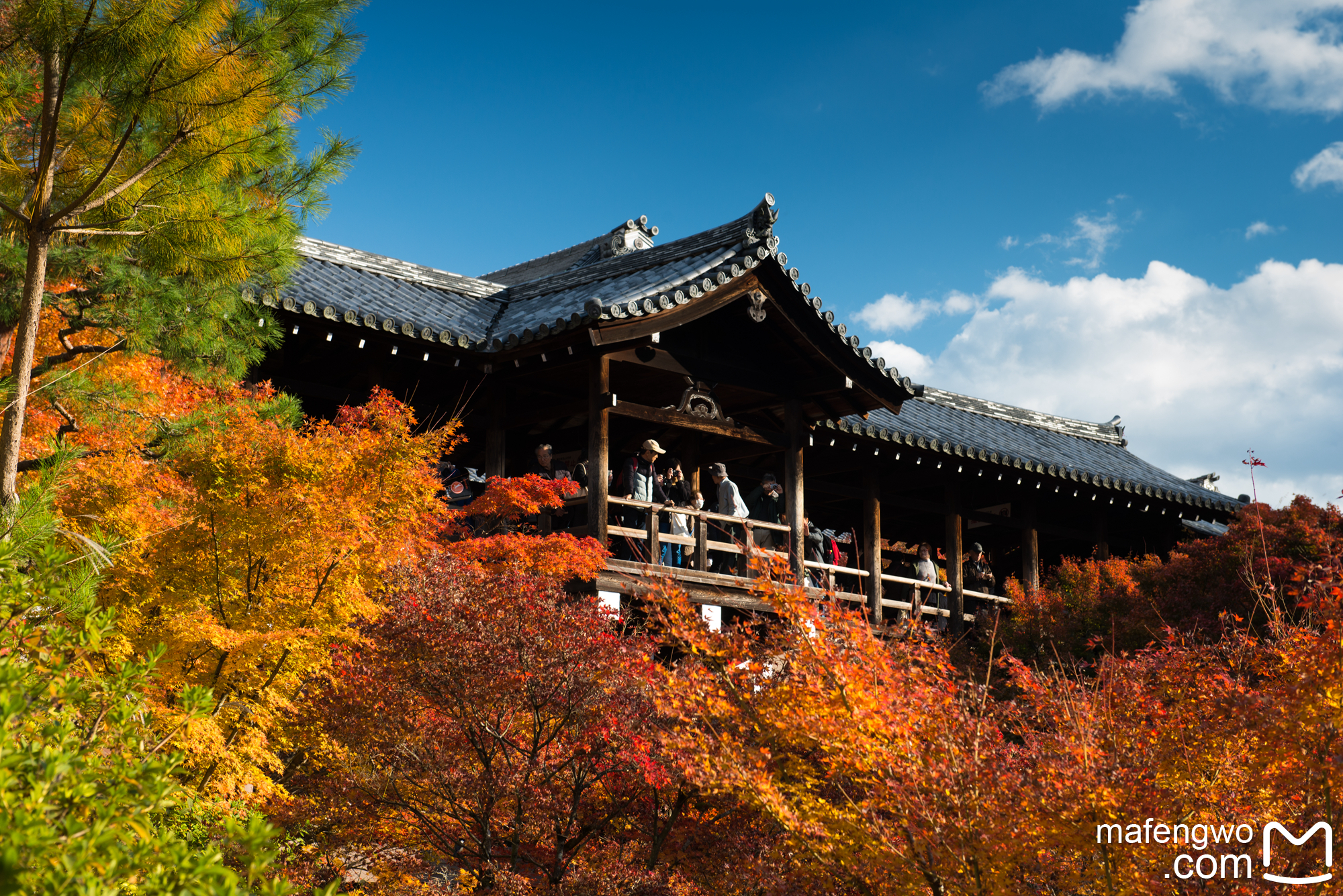 京都自助遊攻略