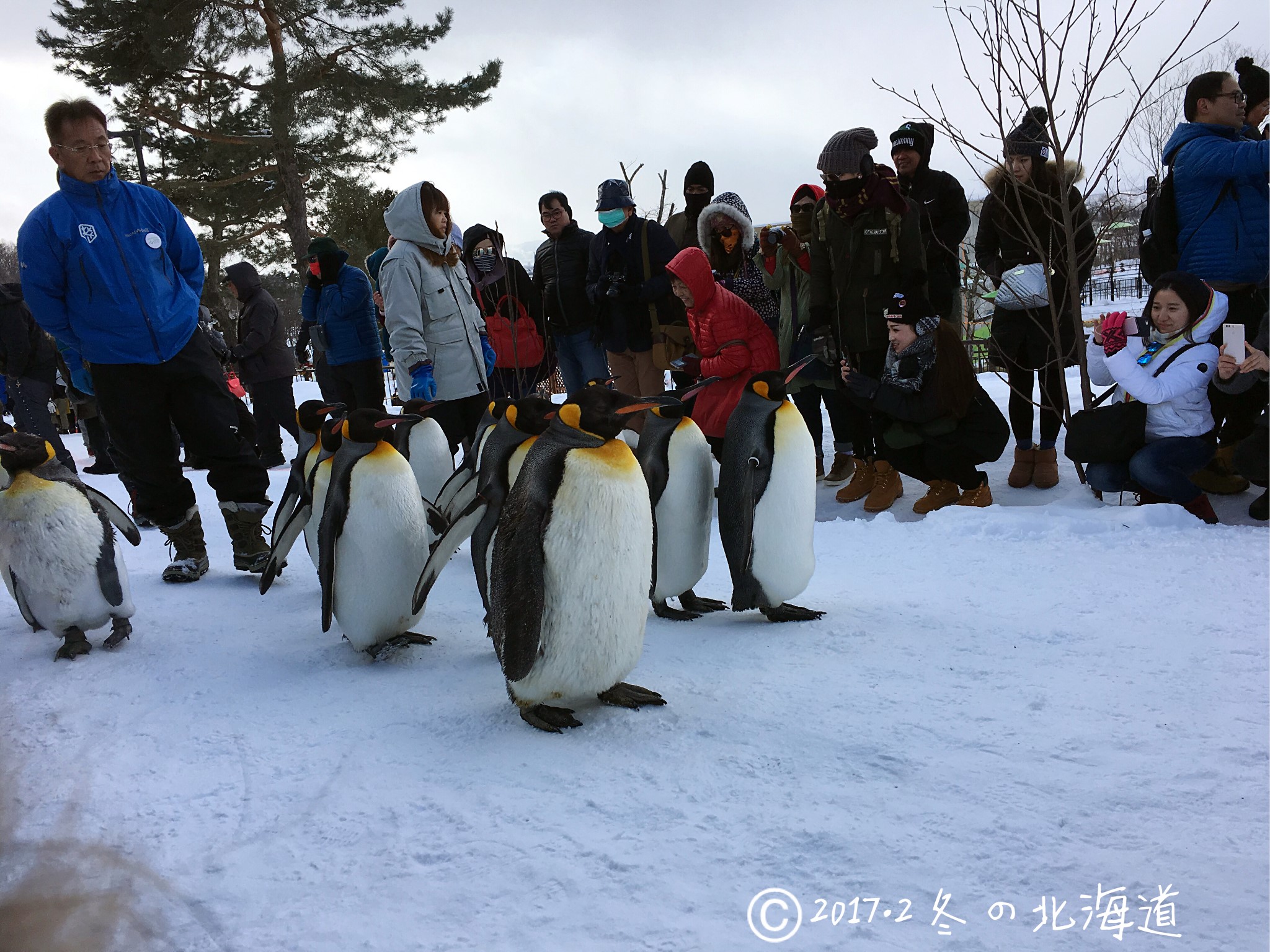 北海道自助遊攻略