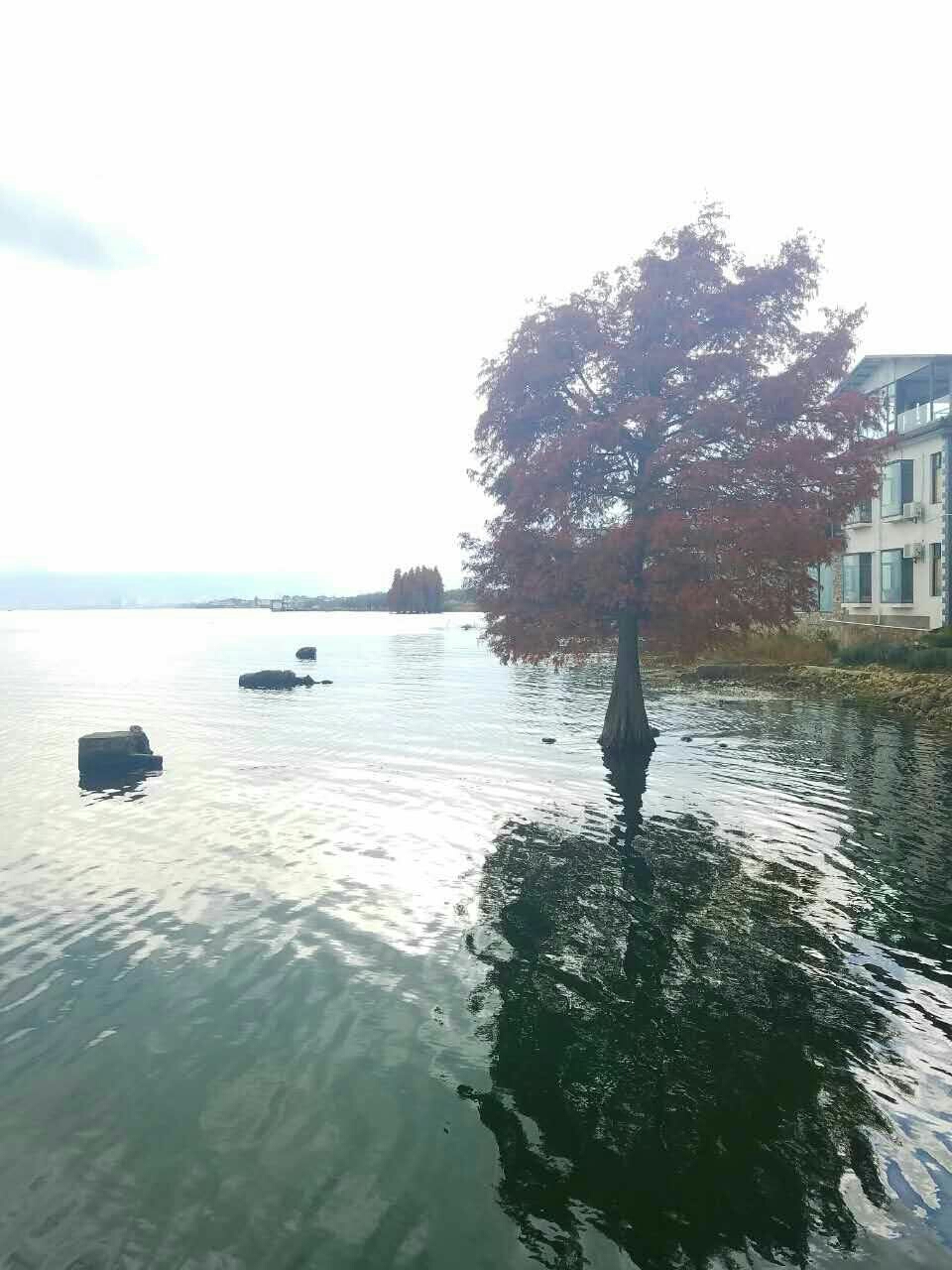 wKgBZ1ijJyGABwoCAAWSjtSCqec14.jpeg?imageView2%2F2%2Fw%2F680%2Fq%2F90%7CimageMogr2%2Fstrip%2Fquality%2F90