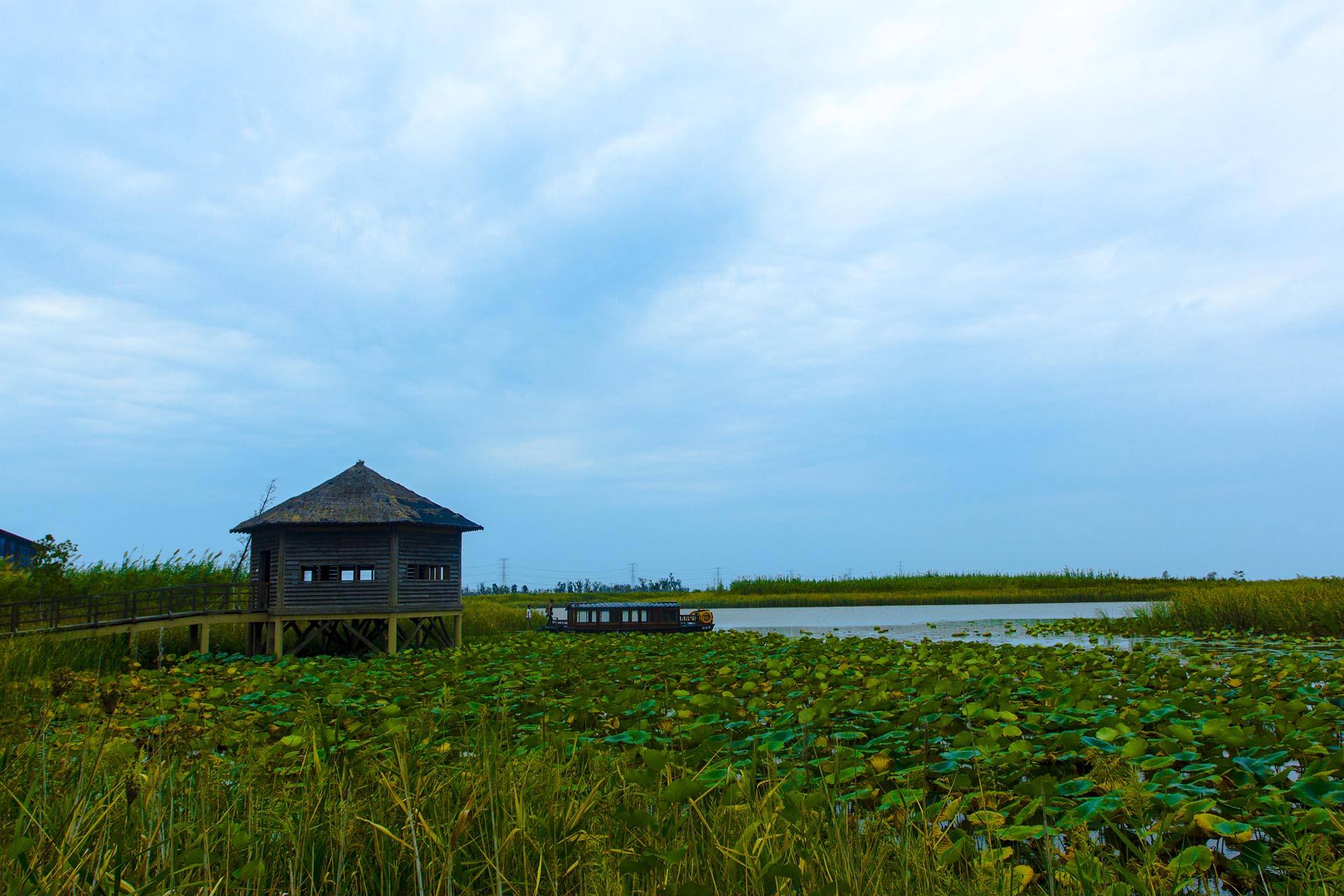 慈溪杭州灣國家溼地公園交通路線,怎麼去杭州灣國家溼地公園,杭州灣