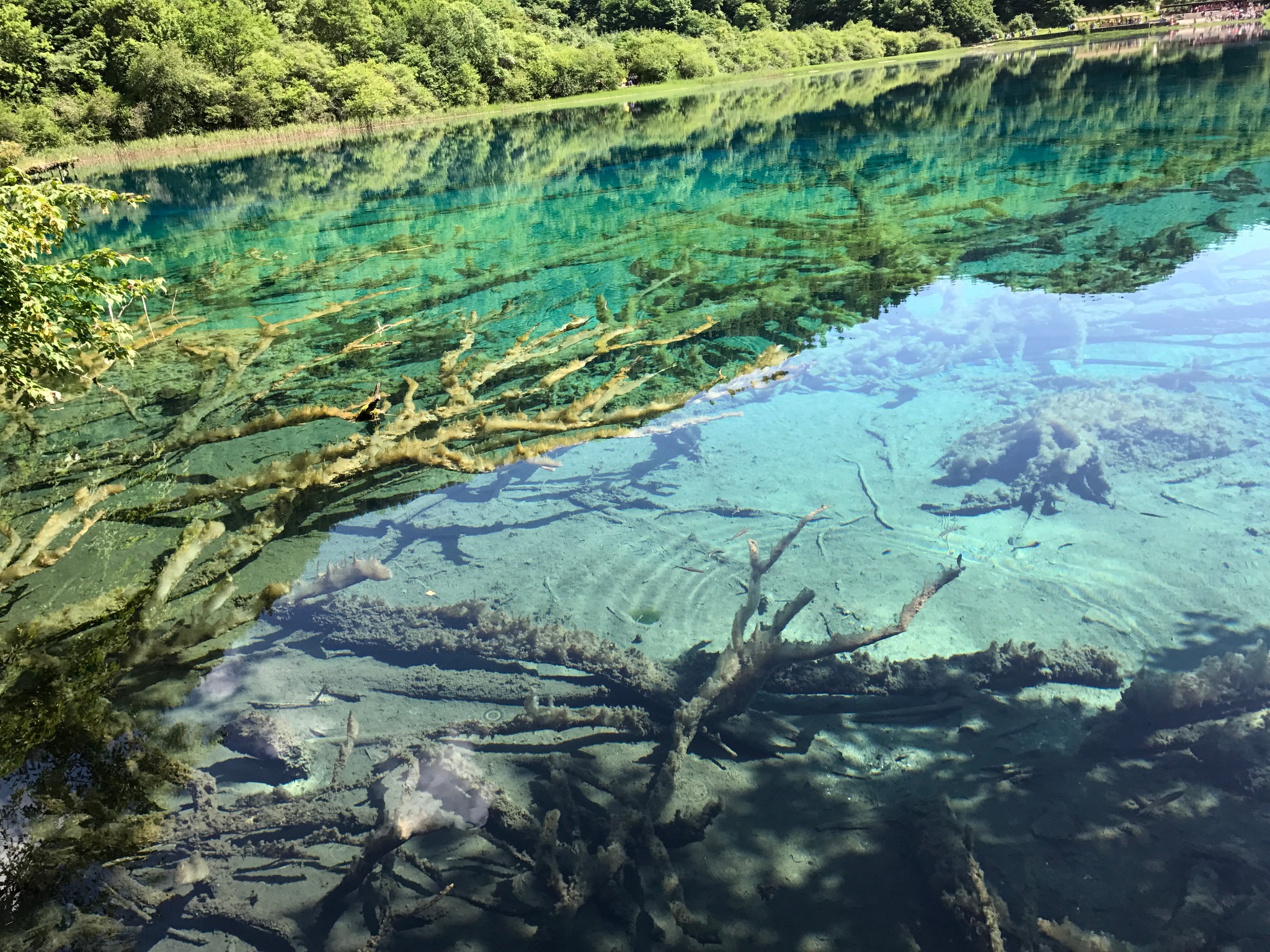 阿坝多少人口_阿坝师范学院