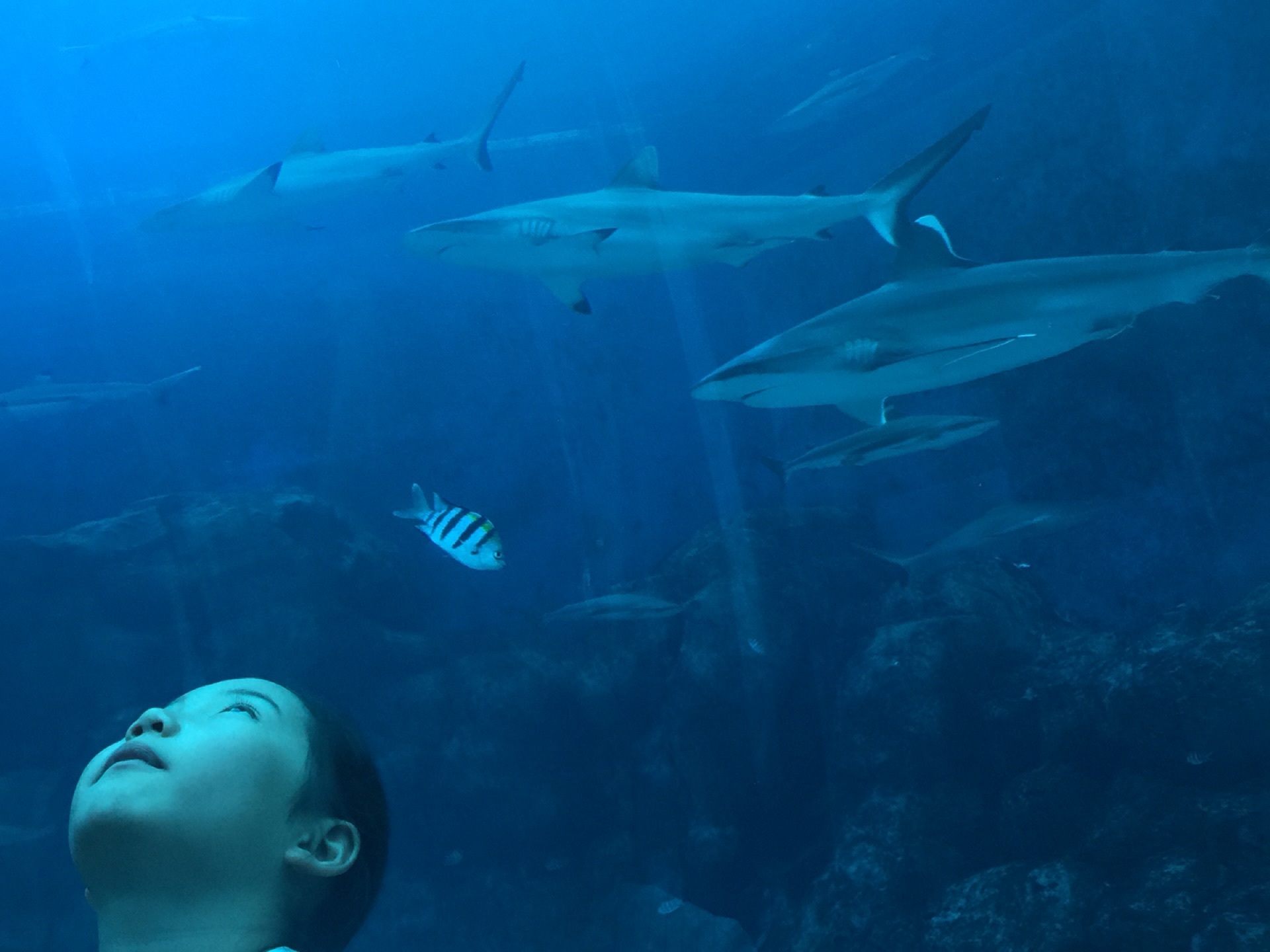 直接印钱算gdp吗(2)