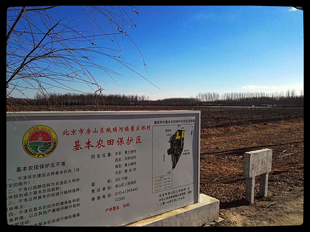 立地什么什么成语_成语故事简笔画(2)