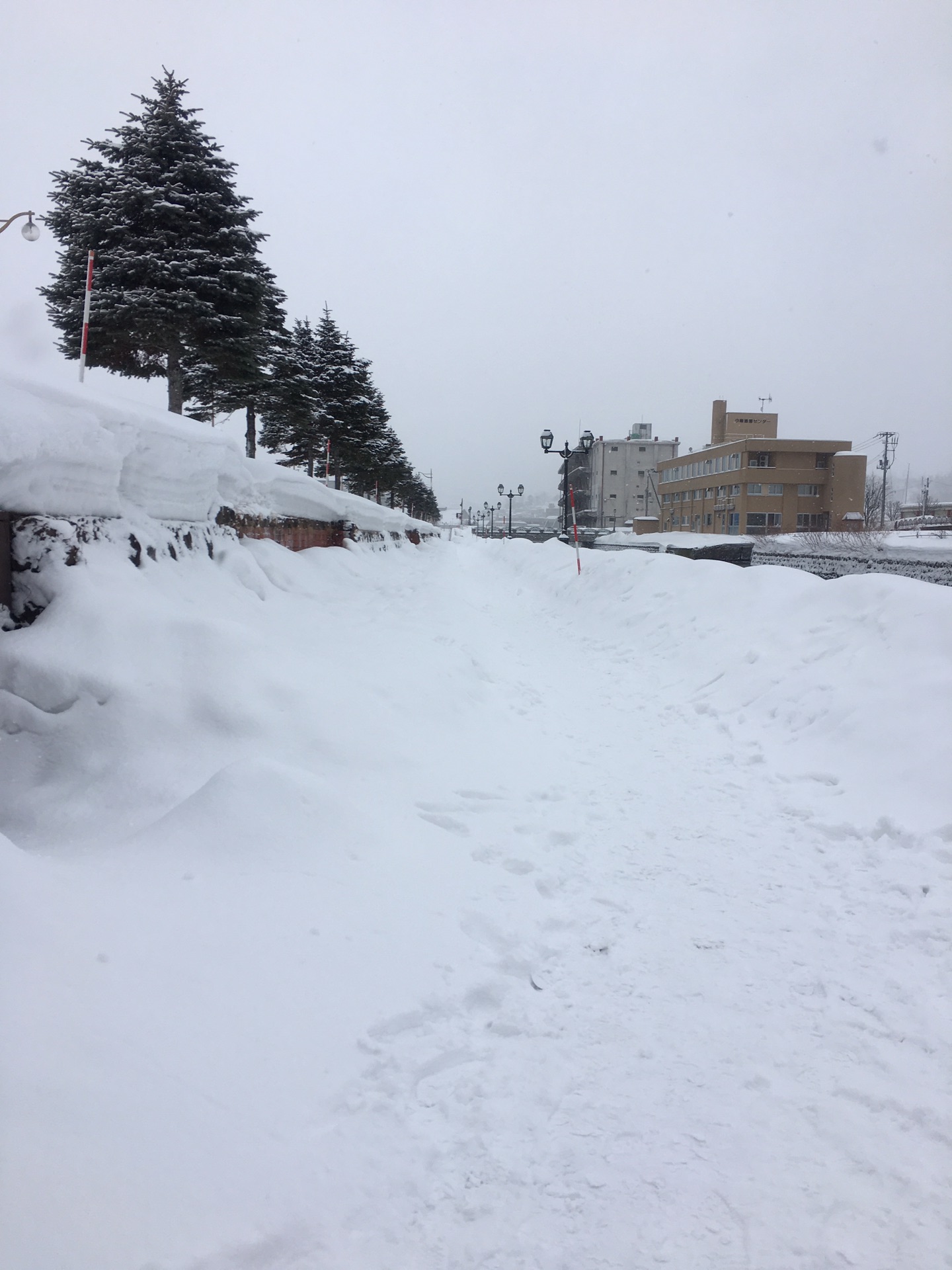 北海道自助遊攻略