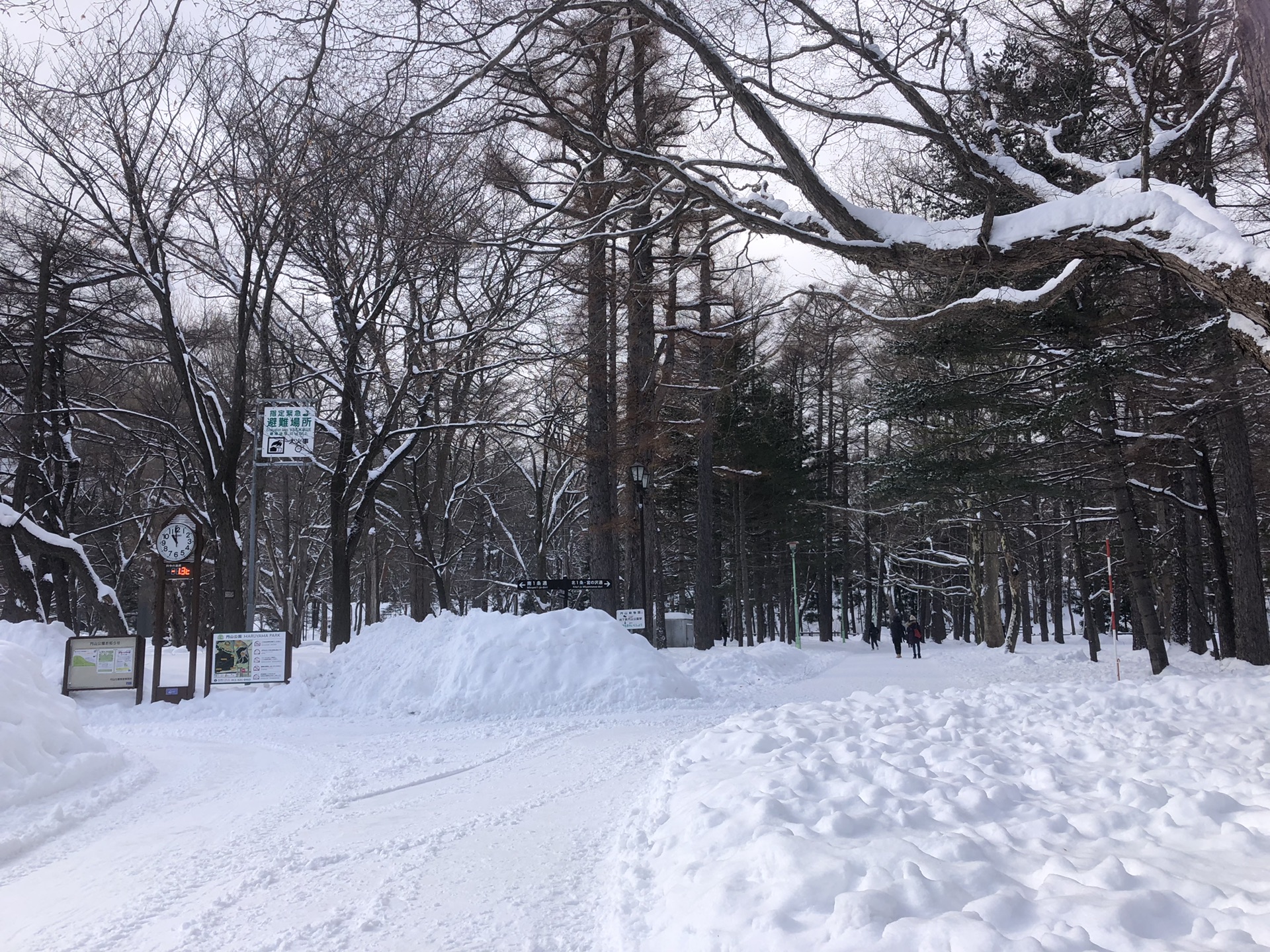 札幌自助遊攻略