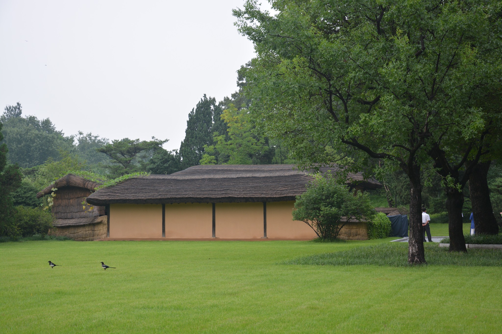 朝鮮自助遊攻略