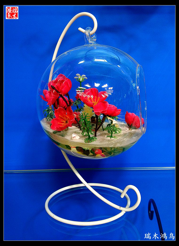 【手机随拍】洼里乡村游乐园孩子们的最爱