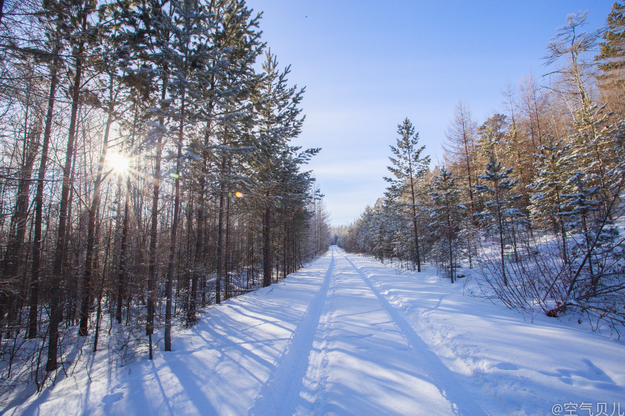 冬季的大兴安岭我想用高冷来形容,虽然傲气,却让人有种莫名的崇拜之情