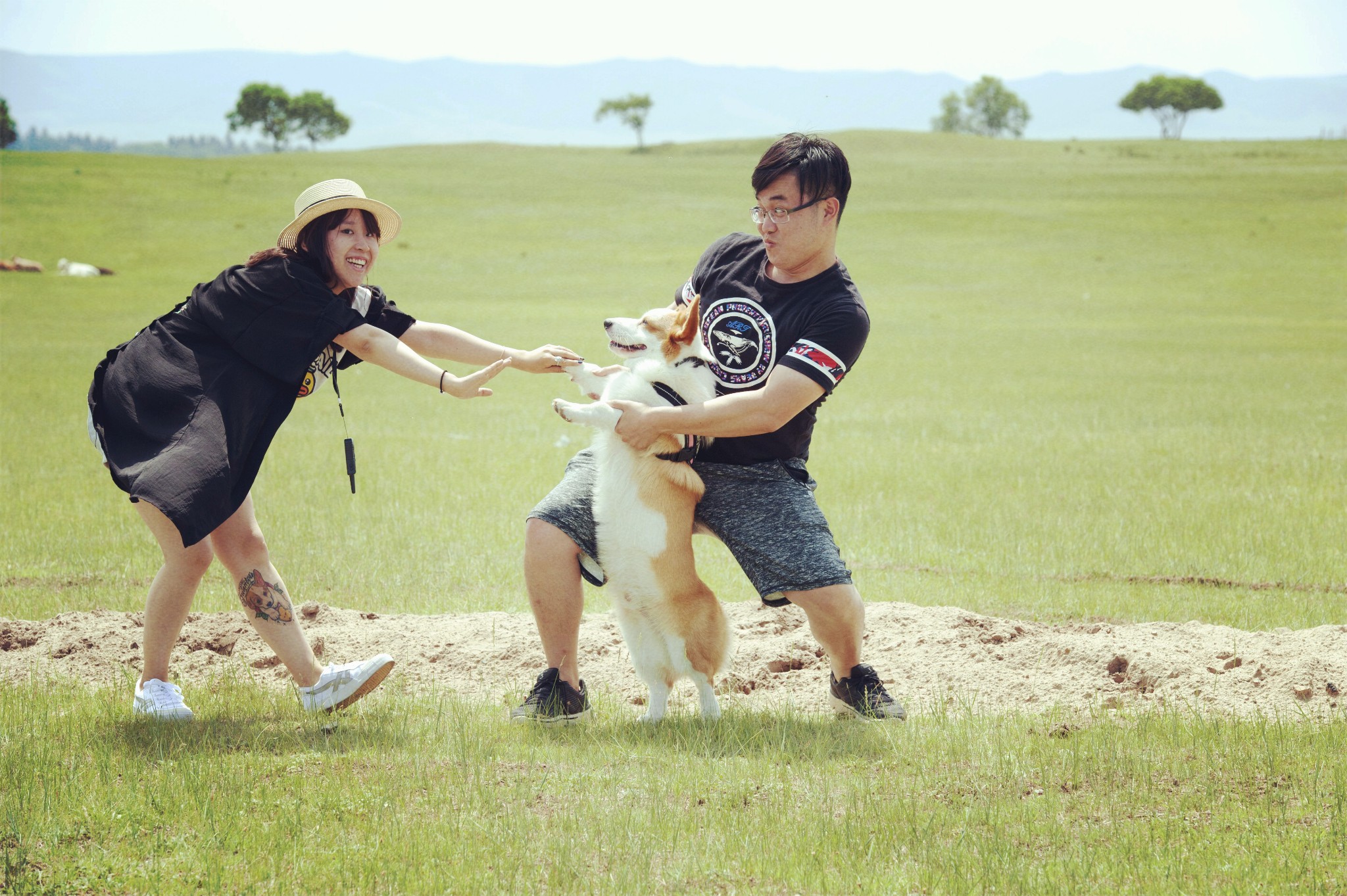 【带狗自驾】和你在一起 才是全世界----单车15天草原行