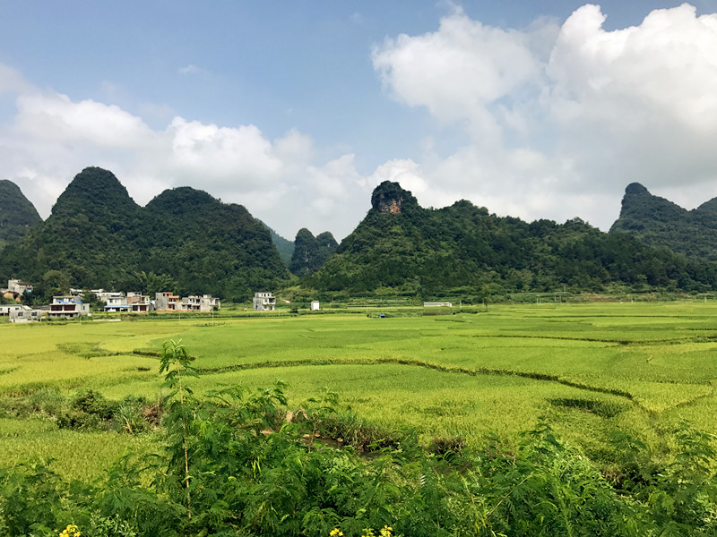 靖西市有多少人口_靖西强化边境口岸疫情防控 筑牢 防线 闭环管理(2)