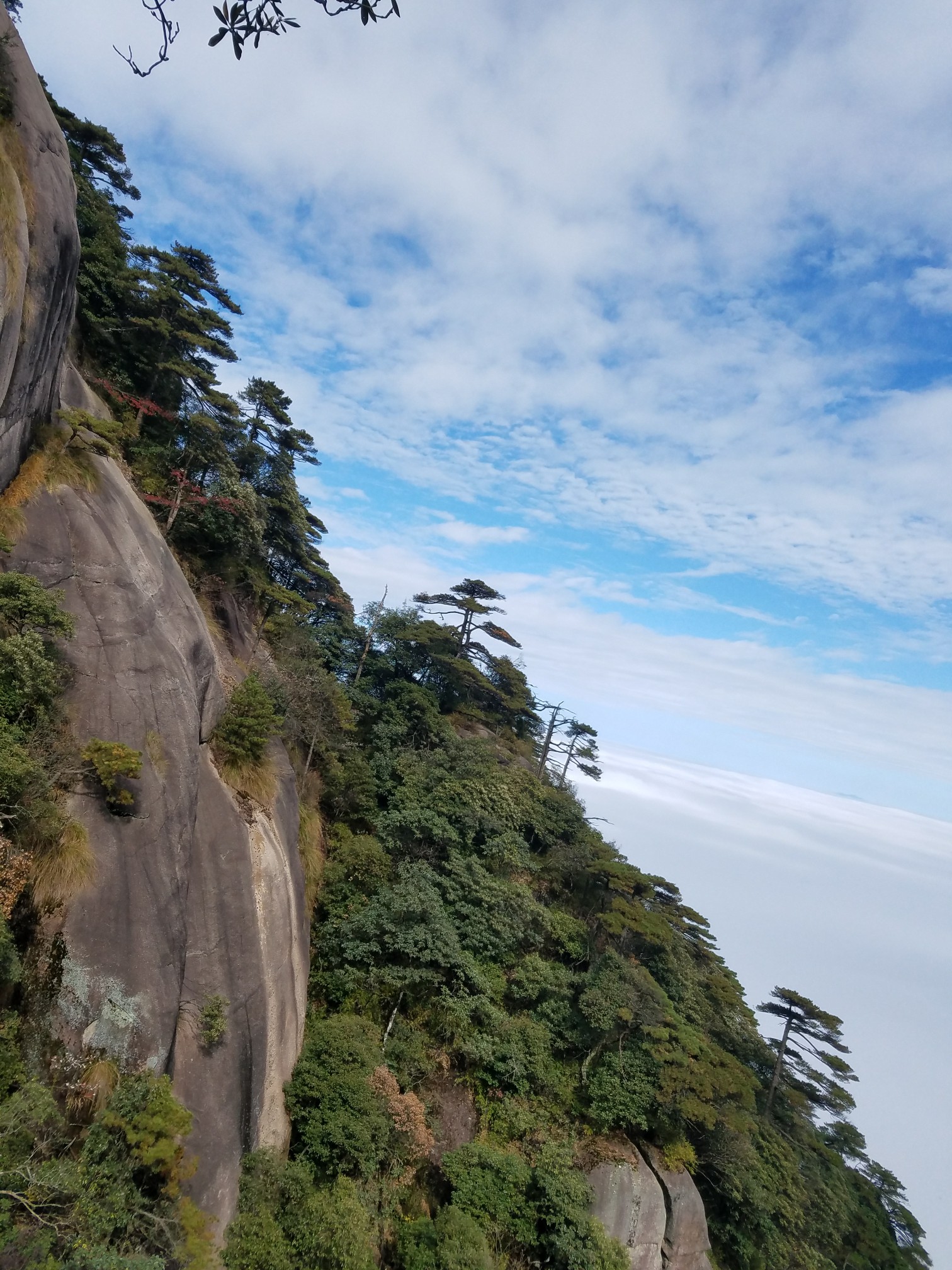 三清山自助遊攻略