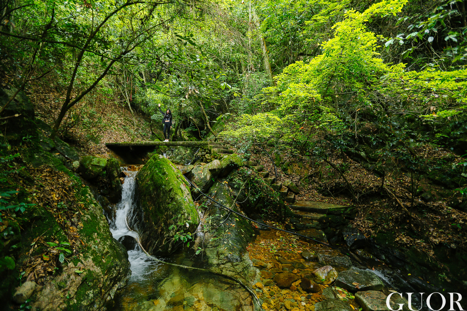 千島湖自助遊攻略