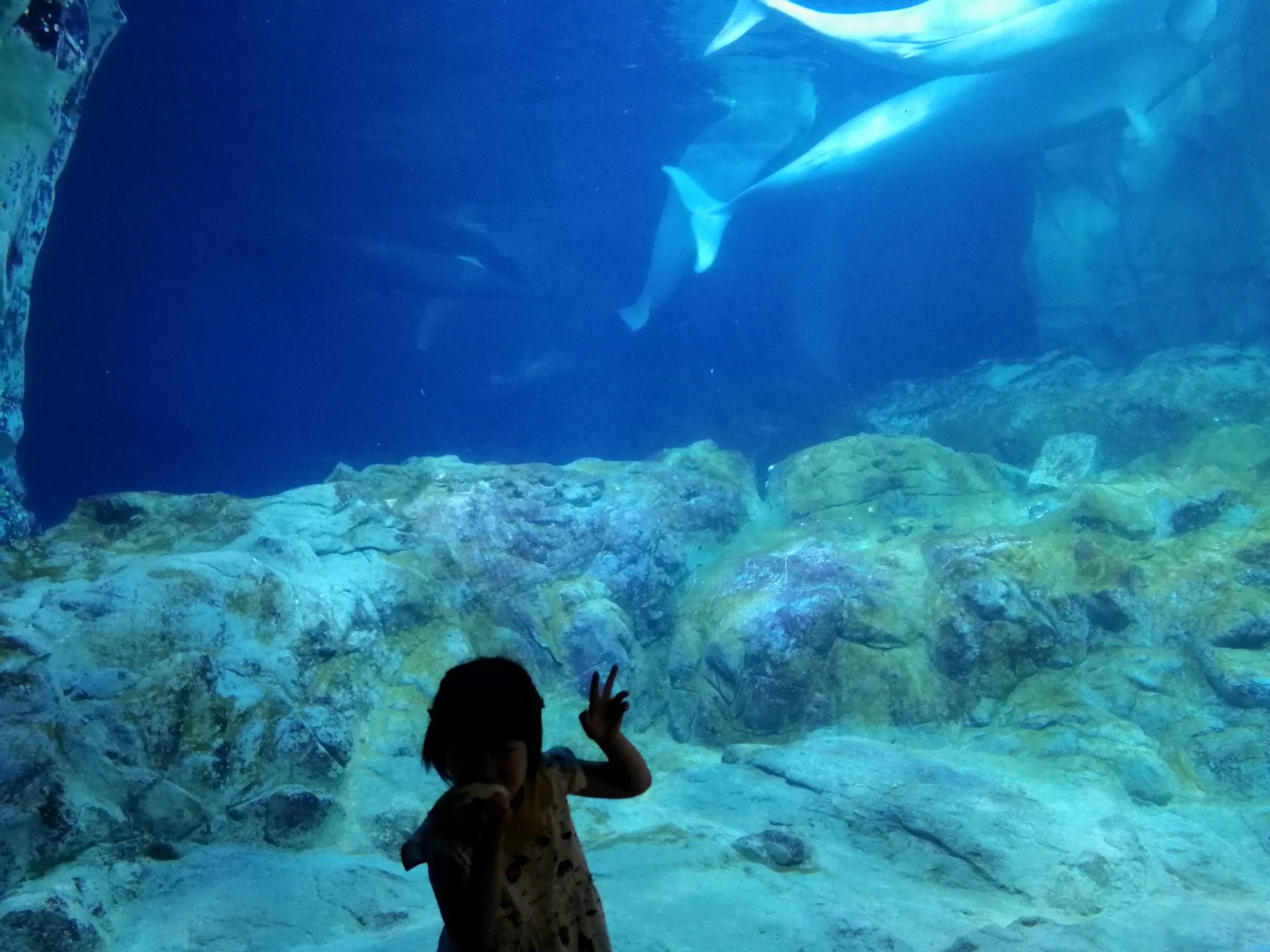 wKgBZ1nfWf2AQdAUABw1pW1l6XQ96.jpeg?imageView2%2F2%2Fw%2F680%2Fq%2F90%7CimageMogr2%2Fstrip%2Fquality%2F90