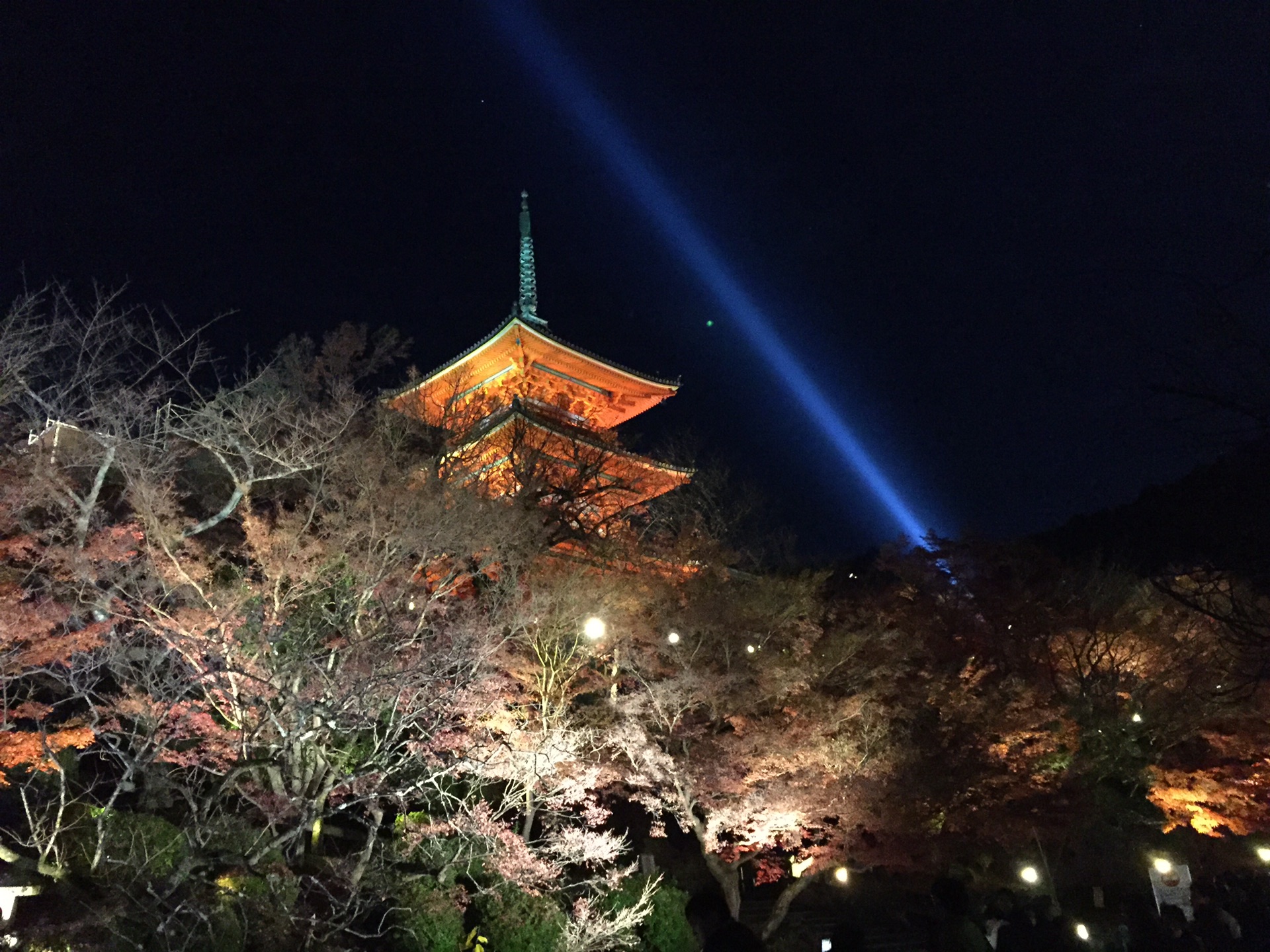 京都自助遊攻略