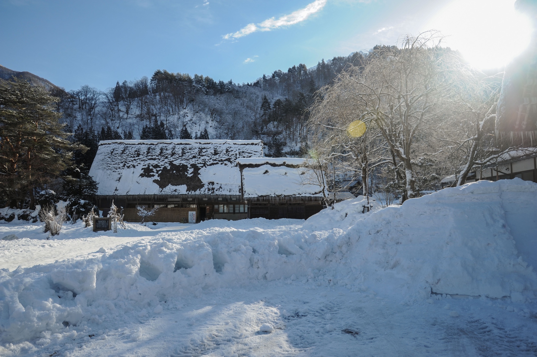 北海道自助遊攻略