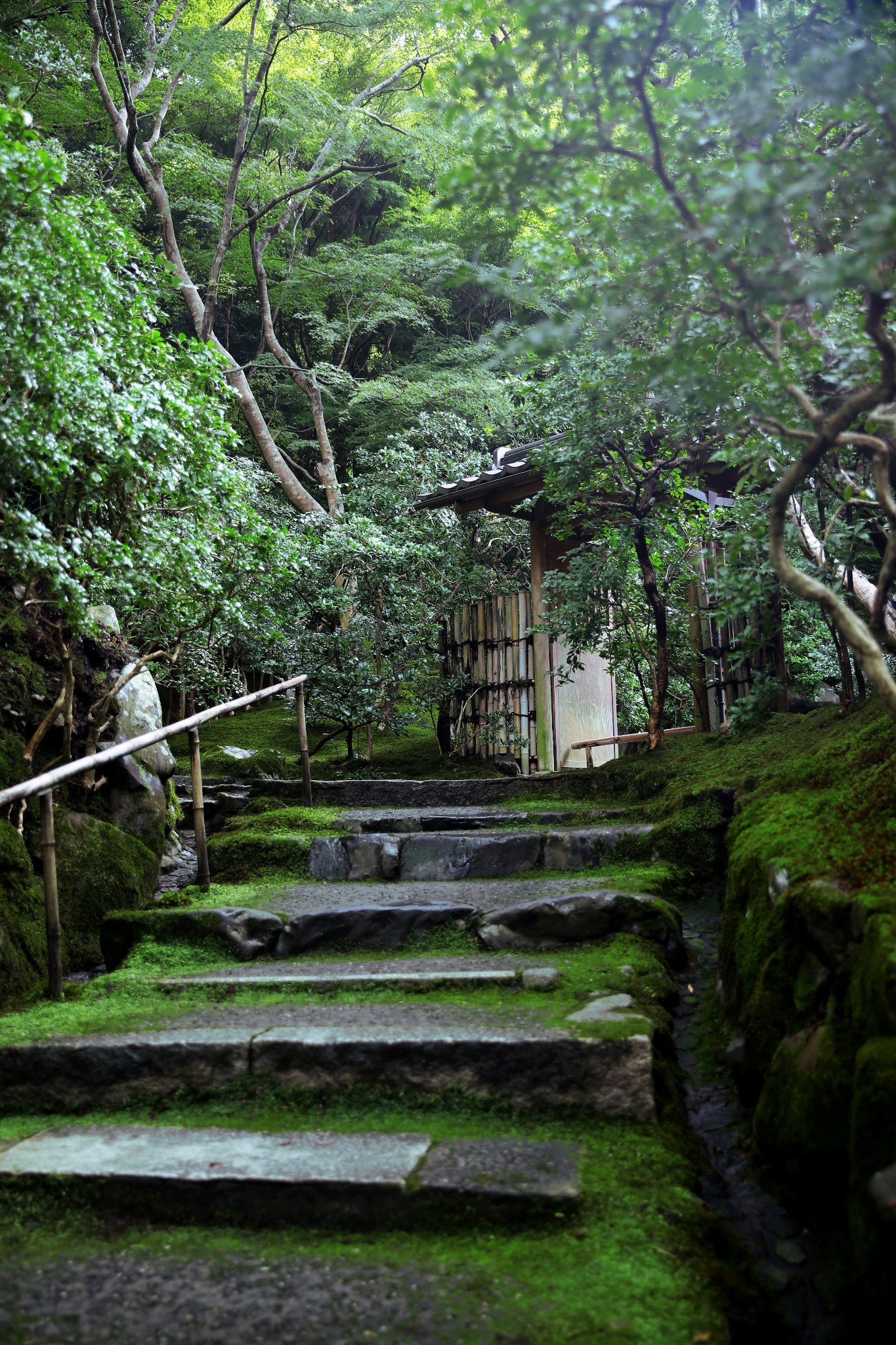 京都自助遊攻略