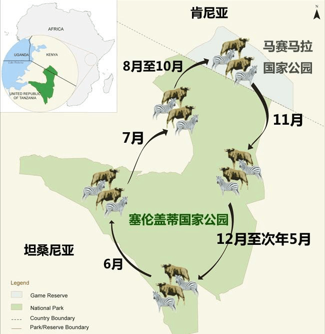 肯尼亞自助遊攻略