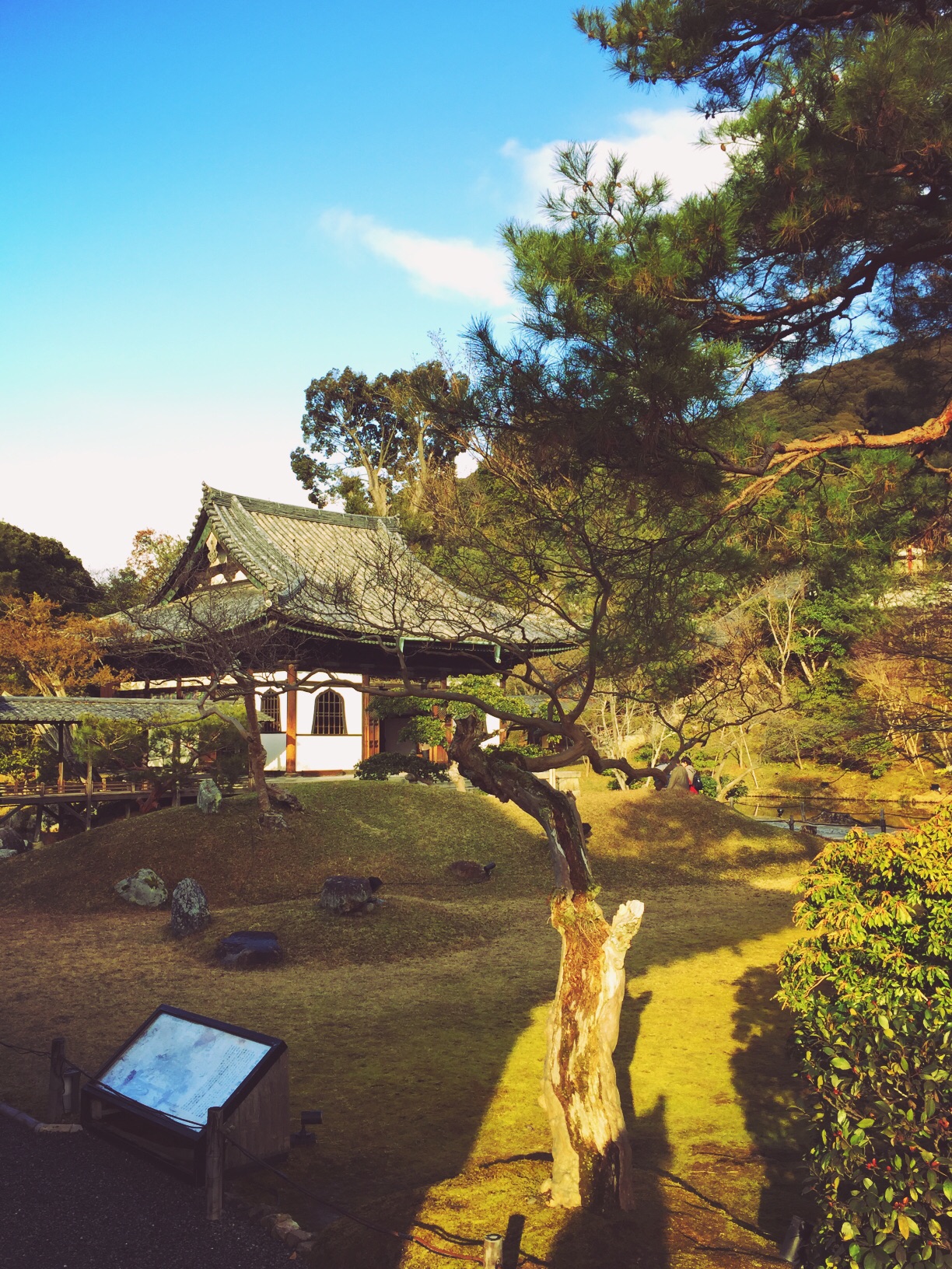 京都自助遊攻略