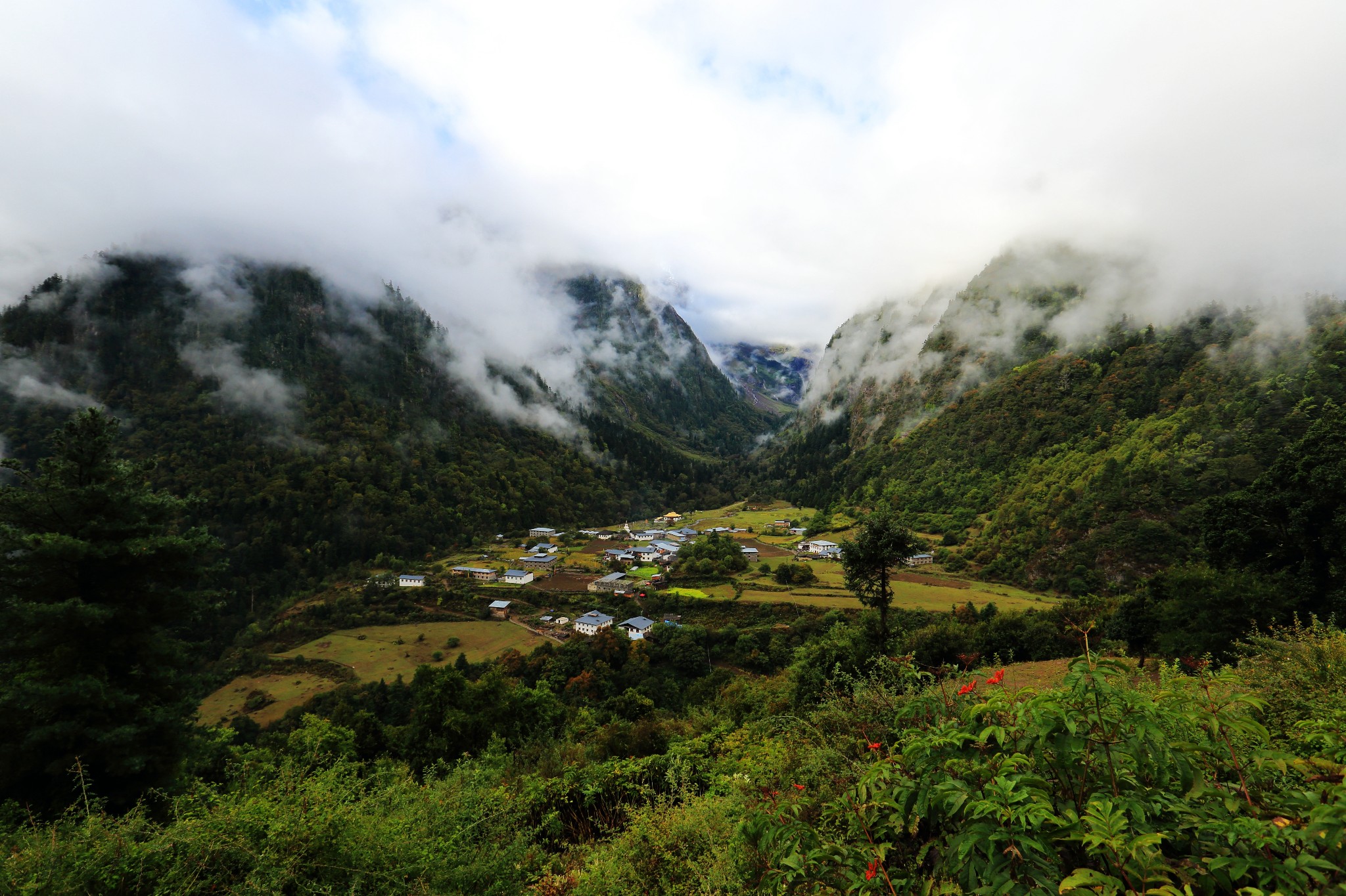 雨崩自助遊攻略