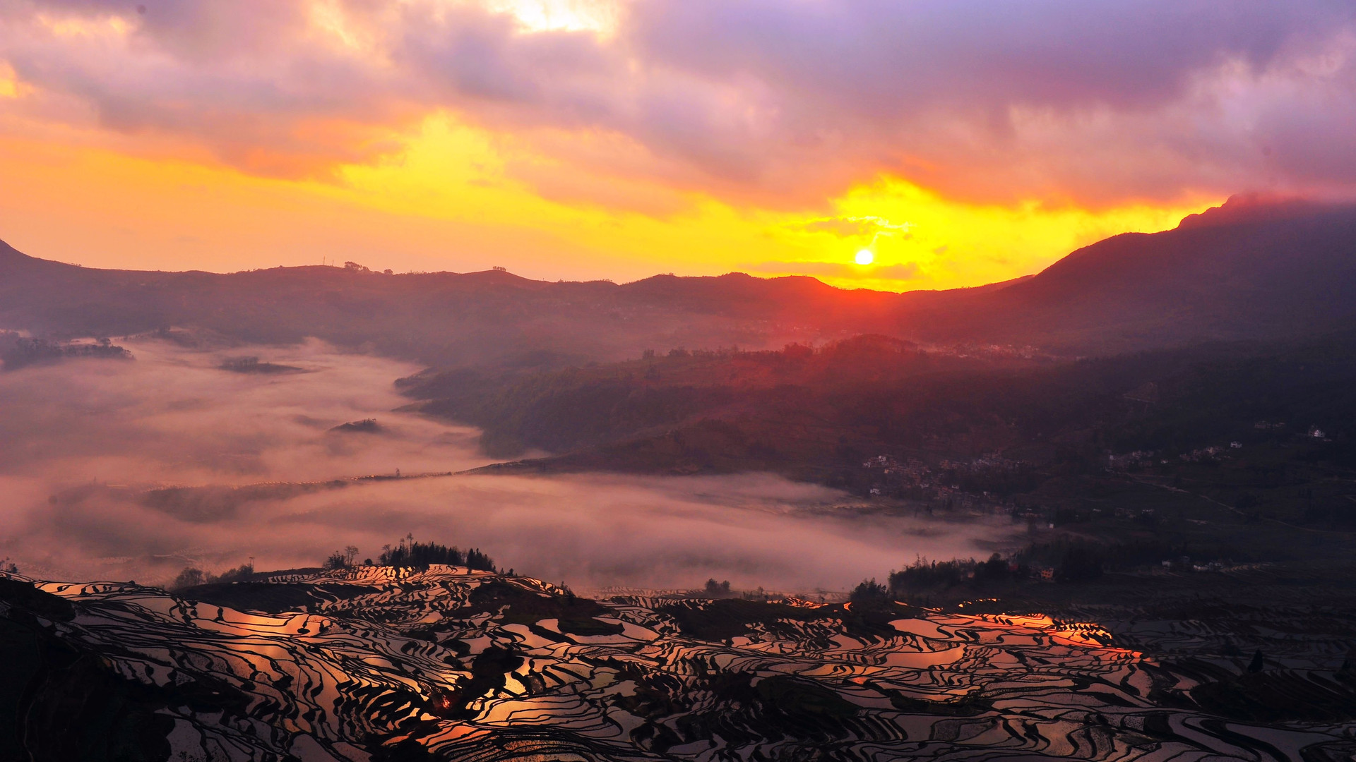早春结伴七彩云南,梯田,温泉,九龙瀑布,抚仙湖