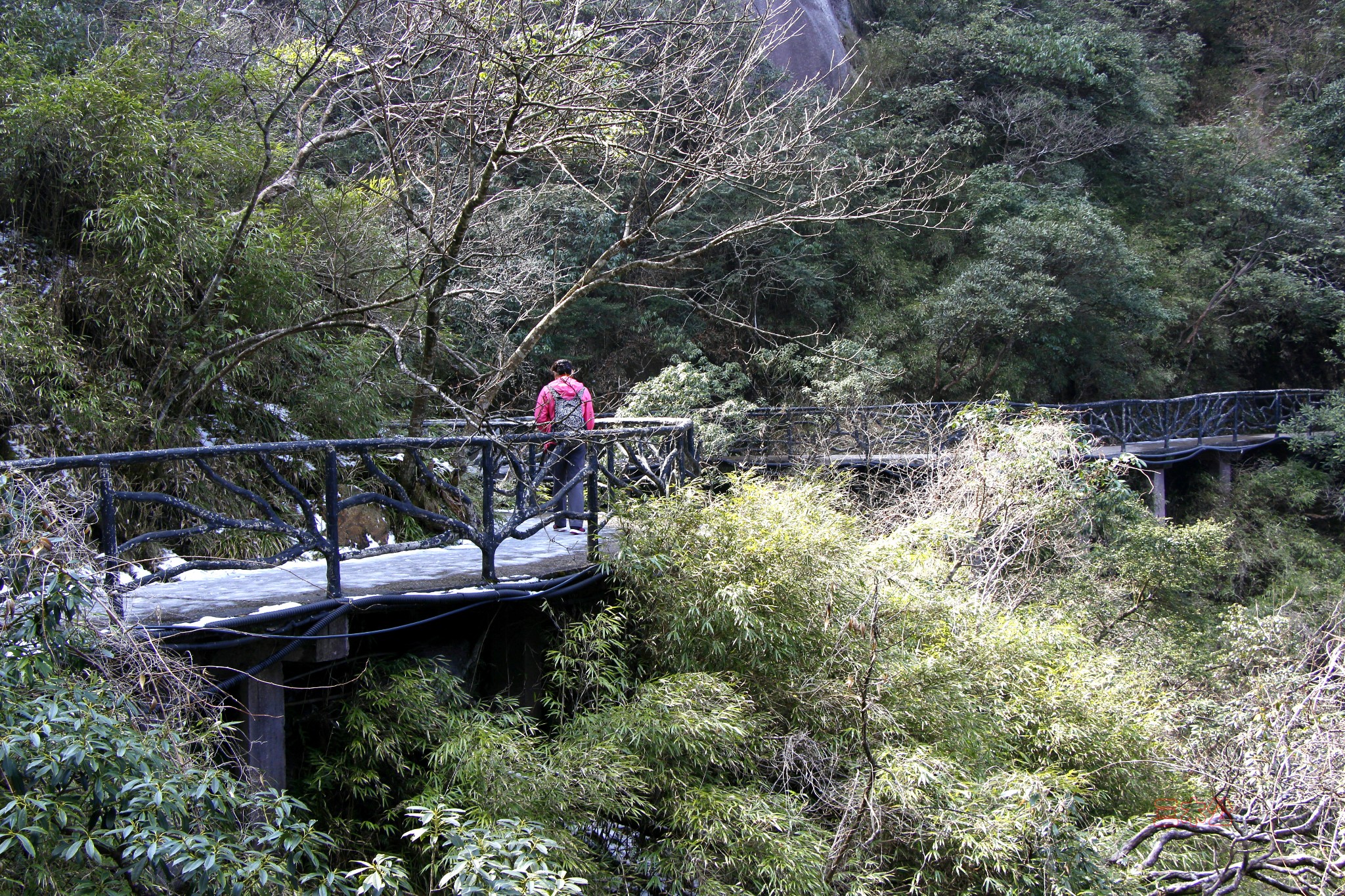 三清山自助遊攻略