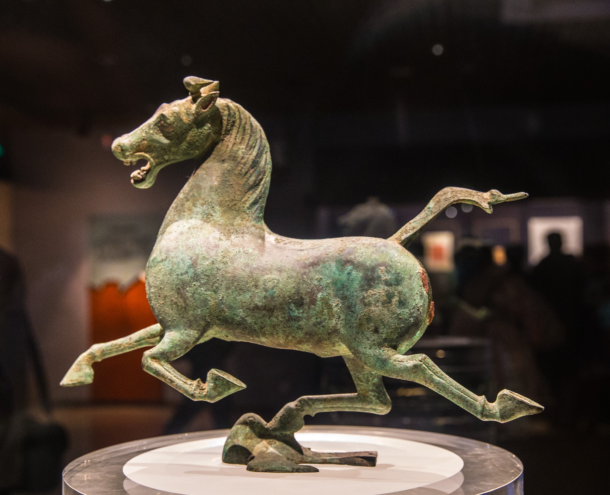 Gansu Provincial Museum China ChengDu Tours, Chengdu Panda Volunteer