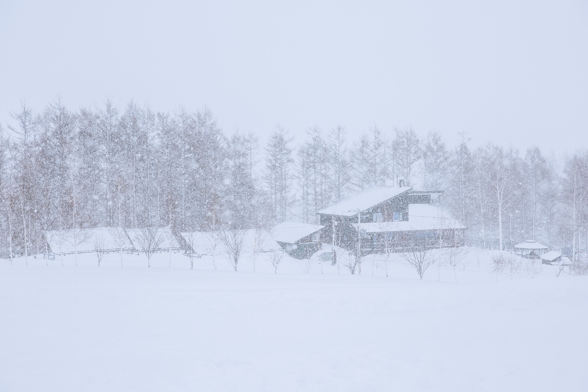 北海道自助遊攻略