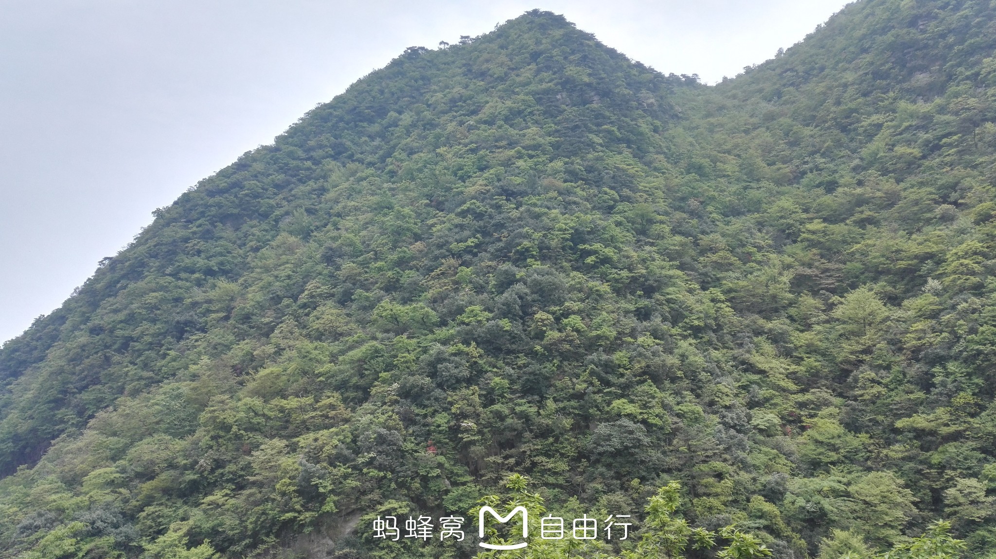 廬山自助遊攻略