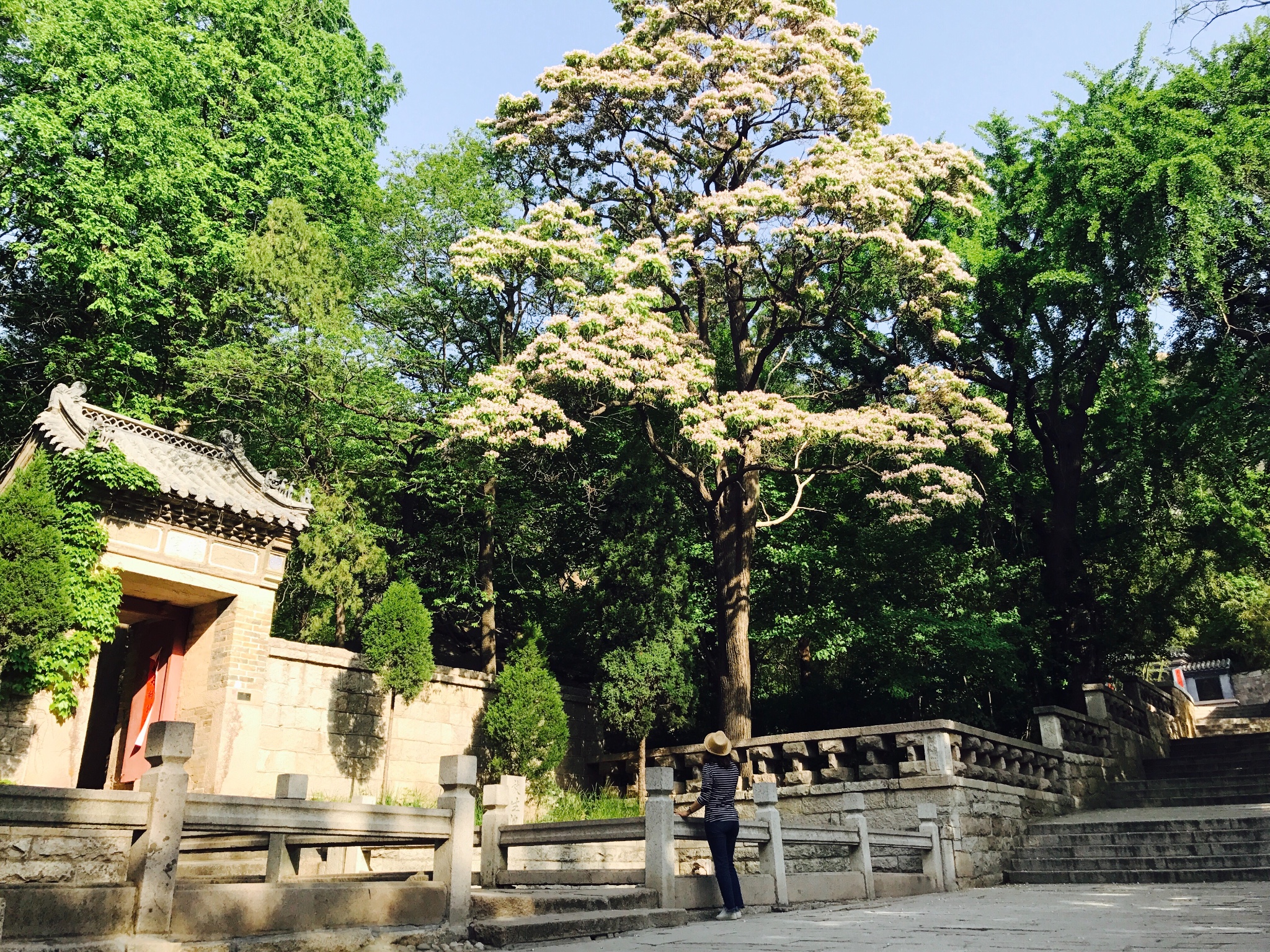 嶗山自助遊攻略